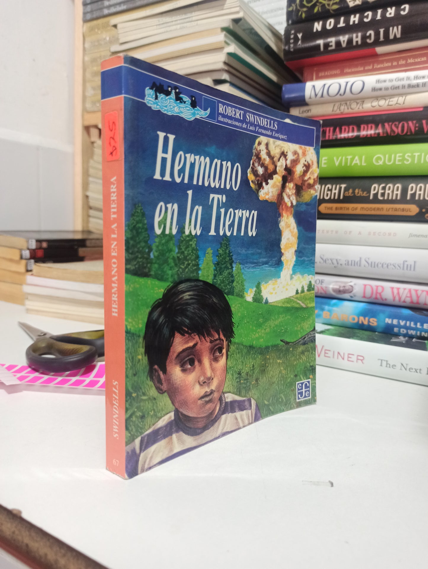 HERMANO DE LA TIERRA POR POR ROBERT SWINDELLS USADO NOVELAS JUÁREZ