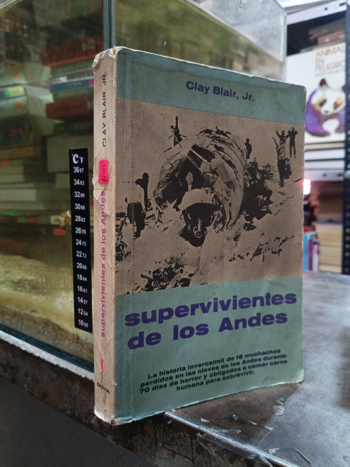 SUPERVIVIENTES DE LOS ANDES POR CLAY BLAIR JR USADO NOVELA ALDAMA