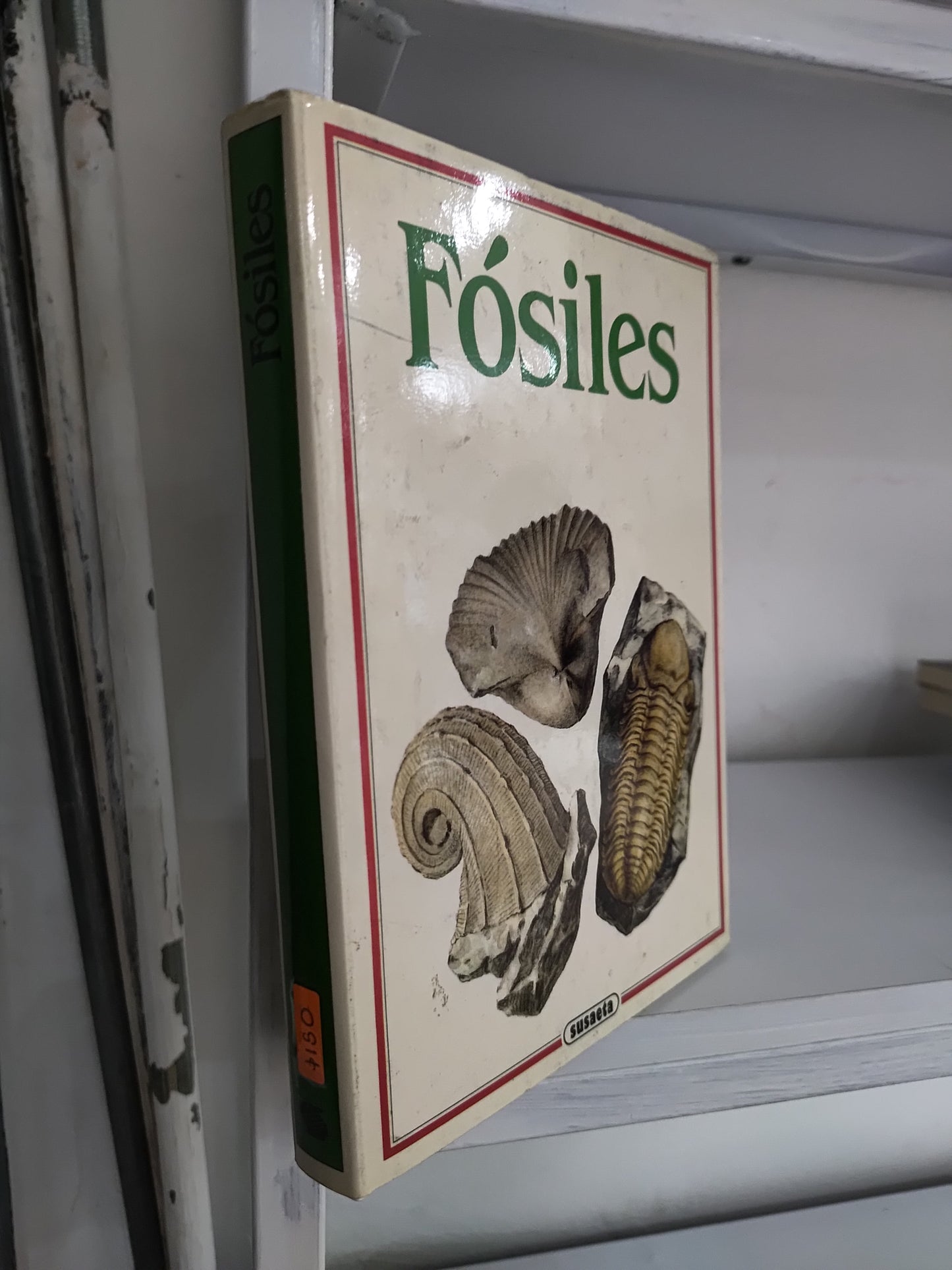 FOSILES POR RUDOLF PROKOP USADO HISTORIA JUAREZ 515