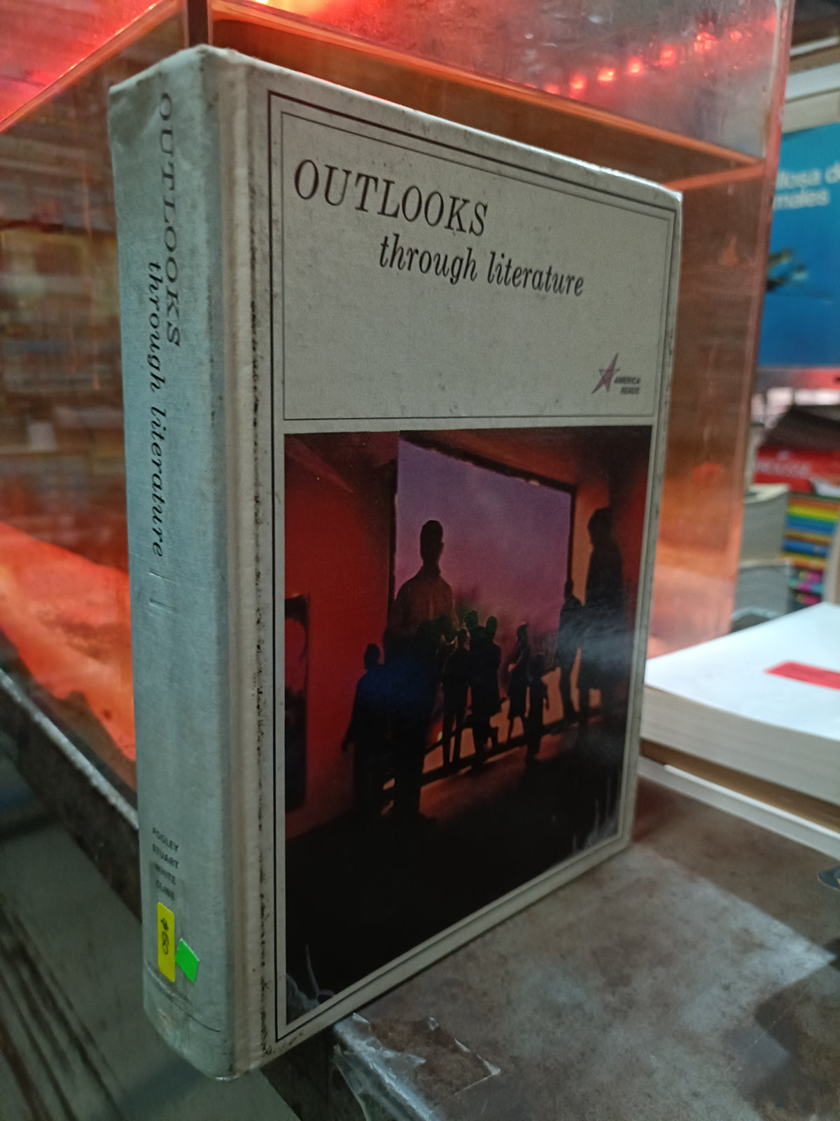OUTLOOKS THROUGH LITERATURE USADO IDIOMAS ALDAMA