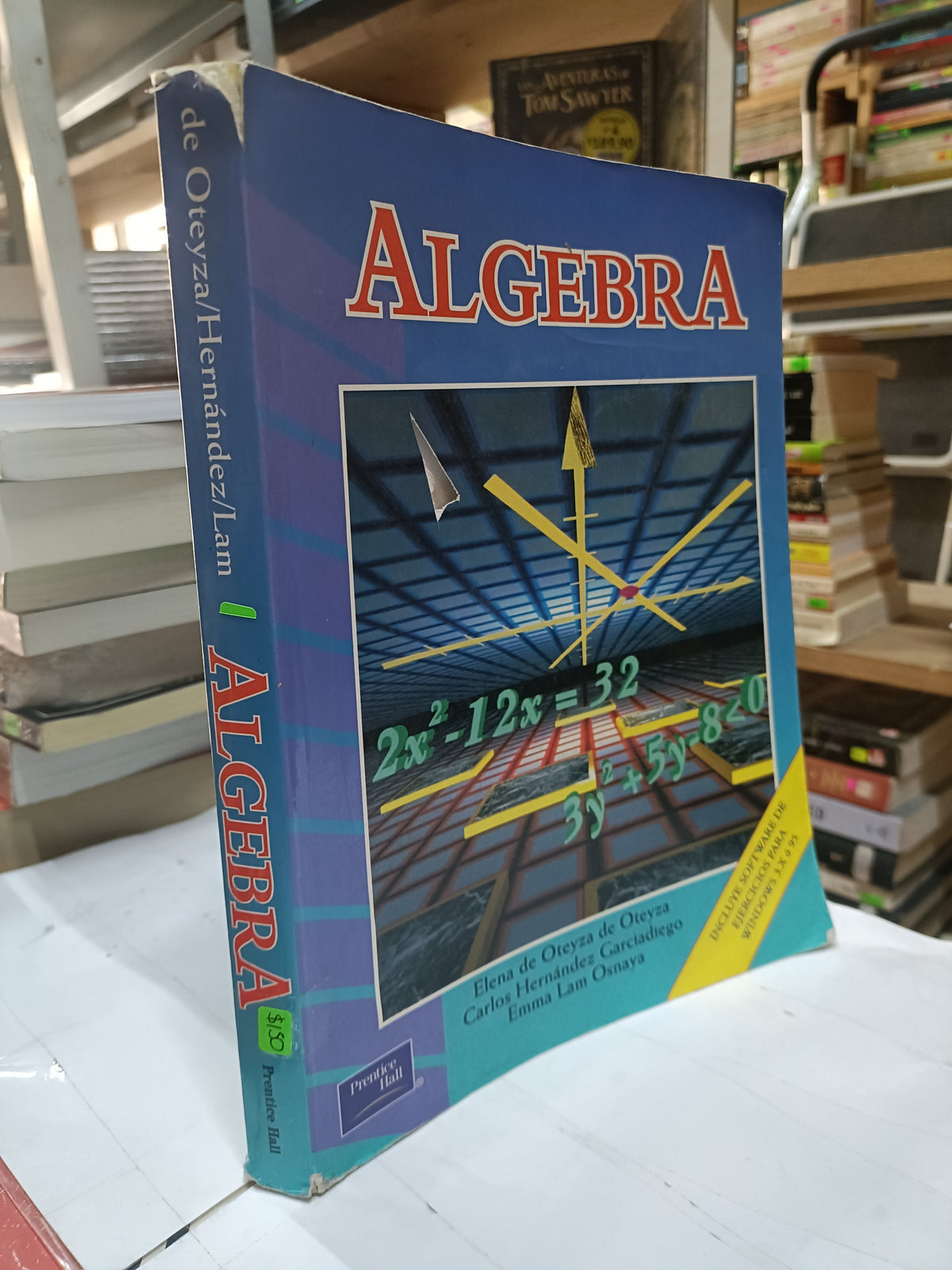 ALGEBRA POR ELENA DE OTEYZA, CARLOS HERNANDEZ USADO MATEMATICAS LITERARIO 207