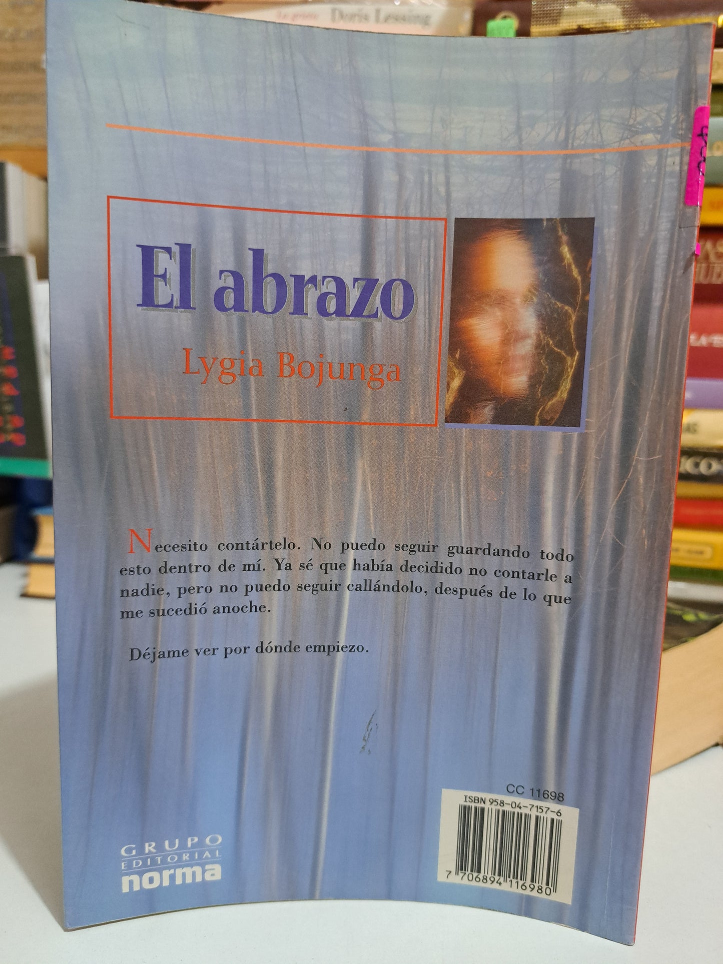 EL ABRAZO LYGIA BOJUNGA USADO NOVELA JUÁREZ
