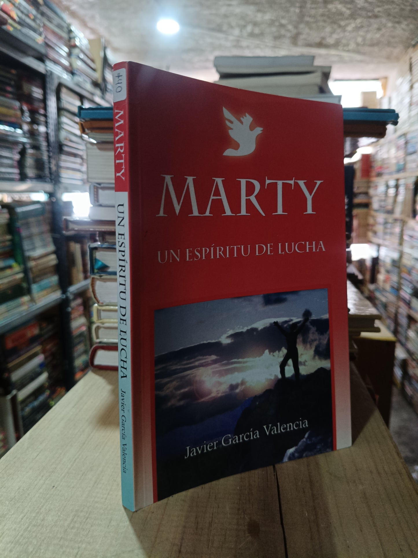 MARTY UN ESPÍRITU DE LUCHA POR JAVIER GARCÍA VALENCIA USADO SUPERACIÓN PERSONAL ALDAMA