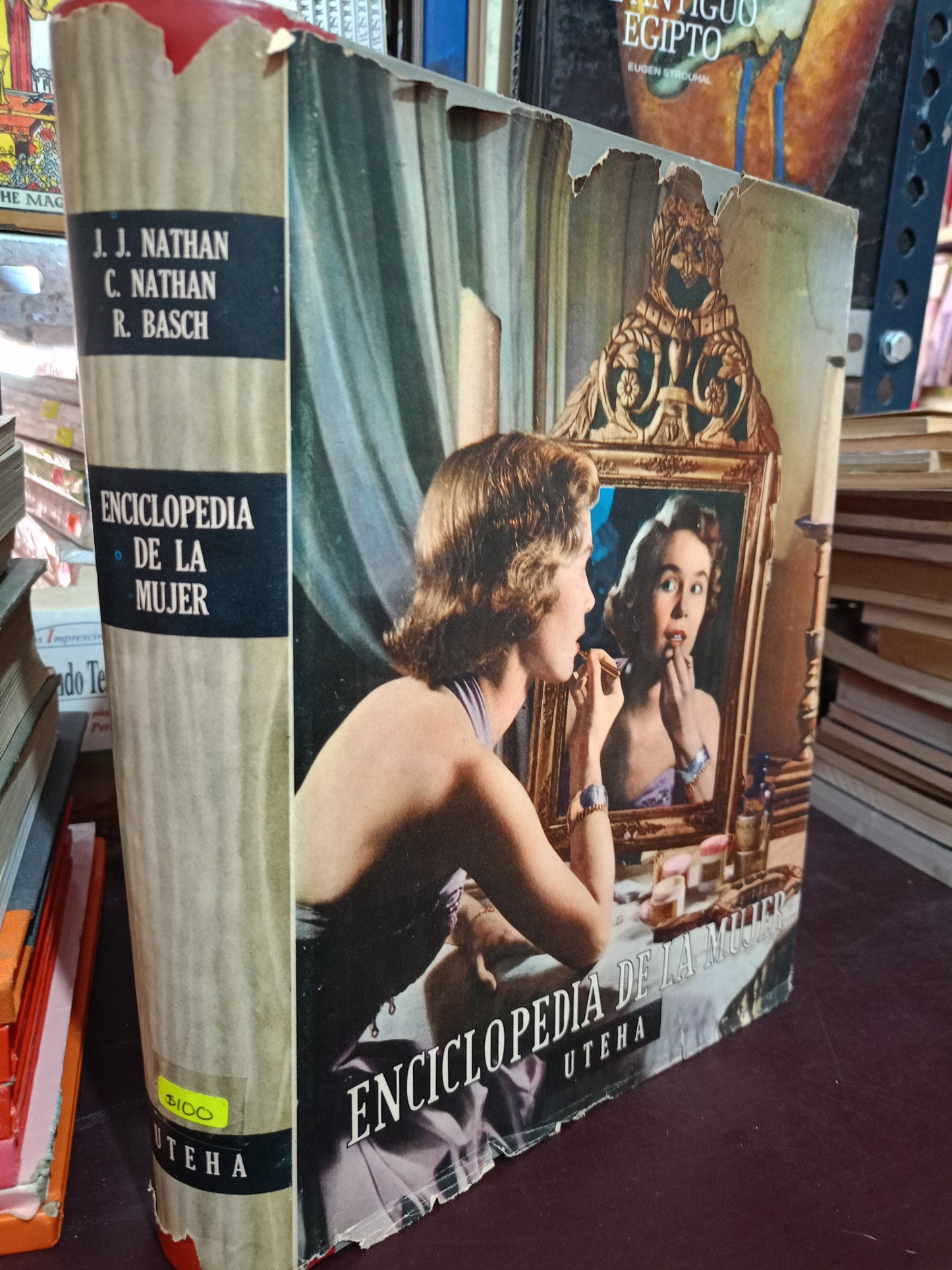 ENCICLOPEDIA DE LA MUJER POR NATHAN NATHAN BASCH USADO OFICIOS LITERARIO 305