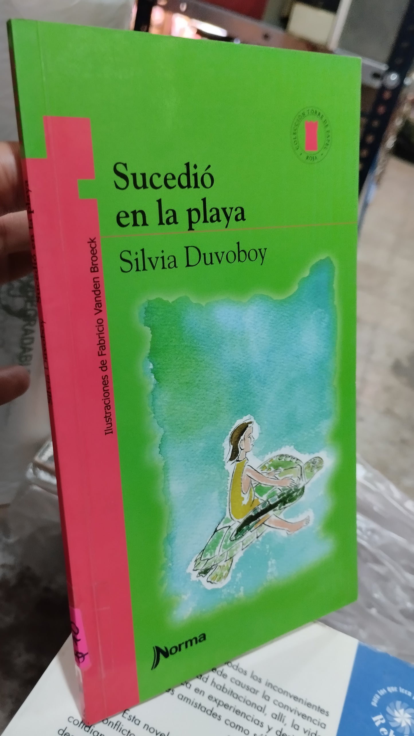 SUCEDIO EN LA PLAYA POR SILVIA DUVOBOY LIBRO USADO INFANTIL ALDAMA