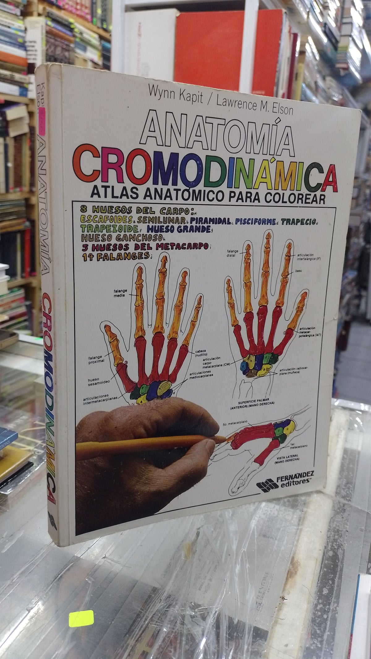 ANATOMIA CROMODINAMICA ATLAS ANATOMICO PARA COLOREAR POR WYNN KAPIT Y LAWRENCE M ELSON USADO SALUD JUAREZ 507