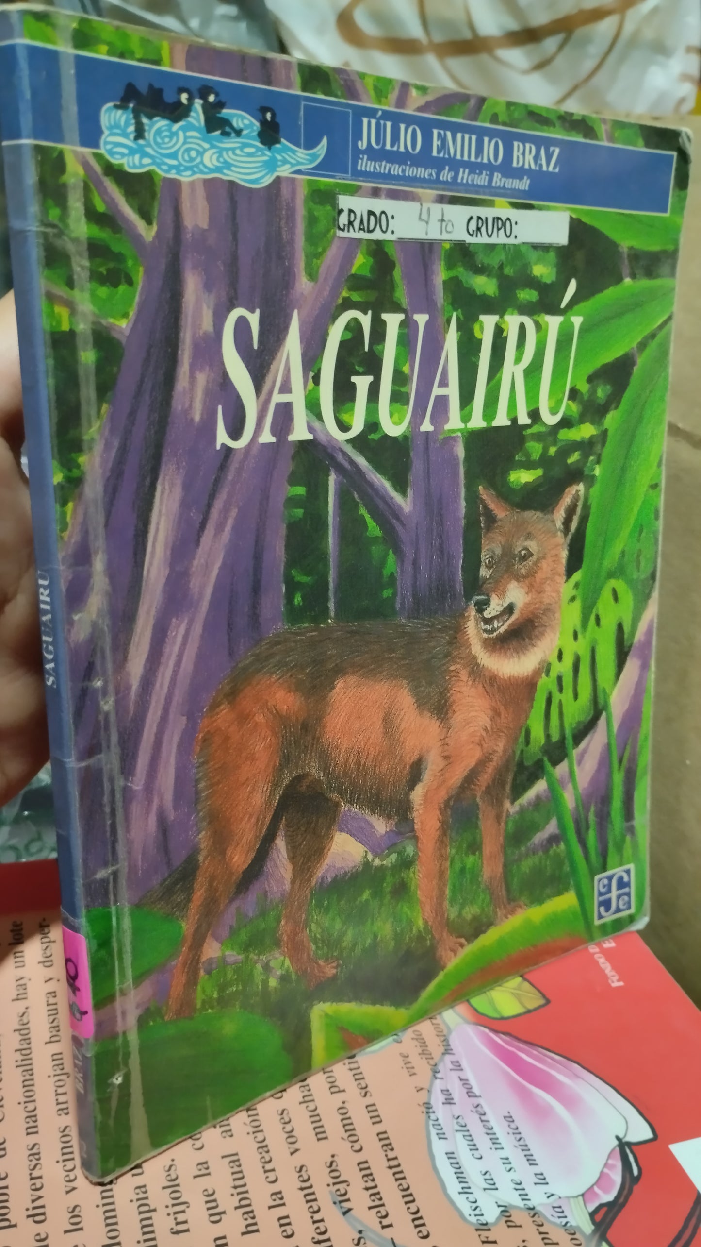 SAGUAIRU POR JULIO EMILIO BRAZ LIBRO USADO INFANTIL ALDAMA