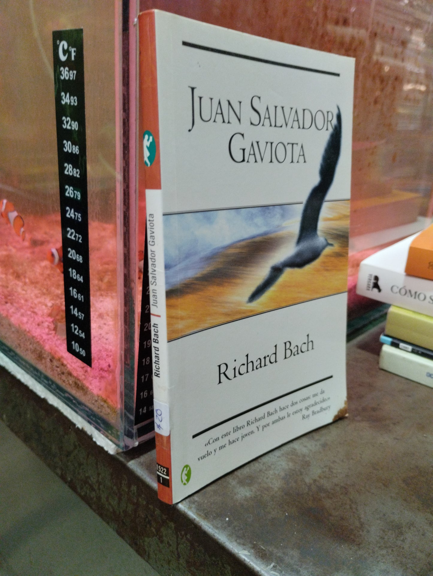 JUAN SALVADOR GAVIOTA POR RICHARD BACH USADO SUPERACION PERSONAL