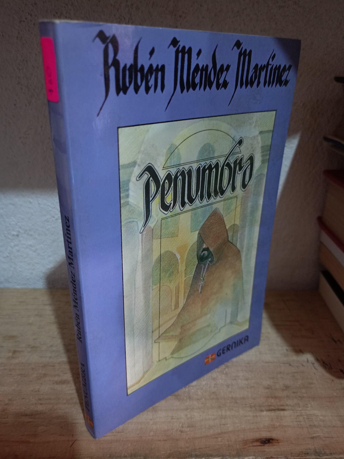 PENUMBRA POR RUBÉN MÉNDEZ MARTÍNEZ USADO NOVELA LITERARIO 305