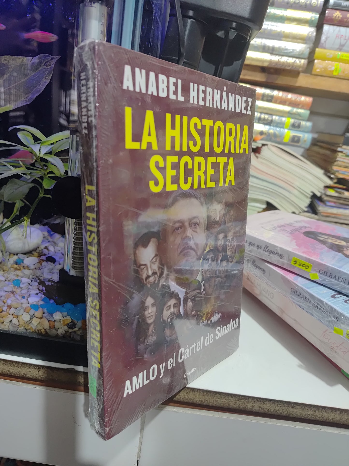 LA HISTORIA SECRETA POR ANABEL HERNANDEZ NUEVOS JUAREZ