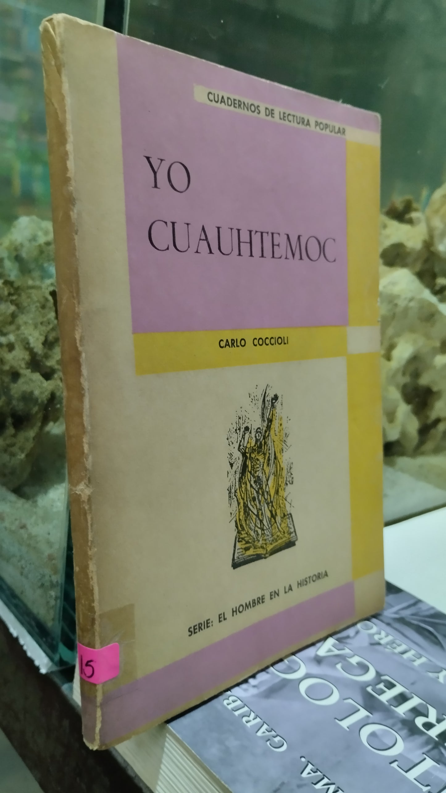 YO CUAUHTEMOC POR CARLO COCCIOLI LIBRO USADO HISTORIA ALDAMA