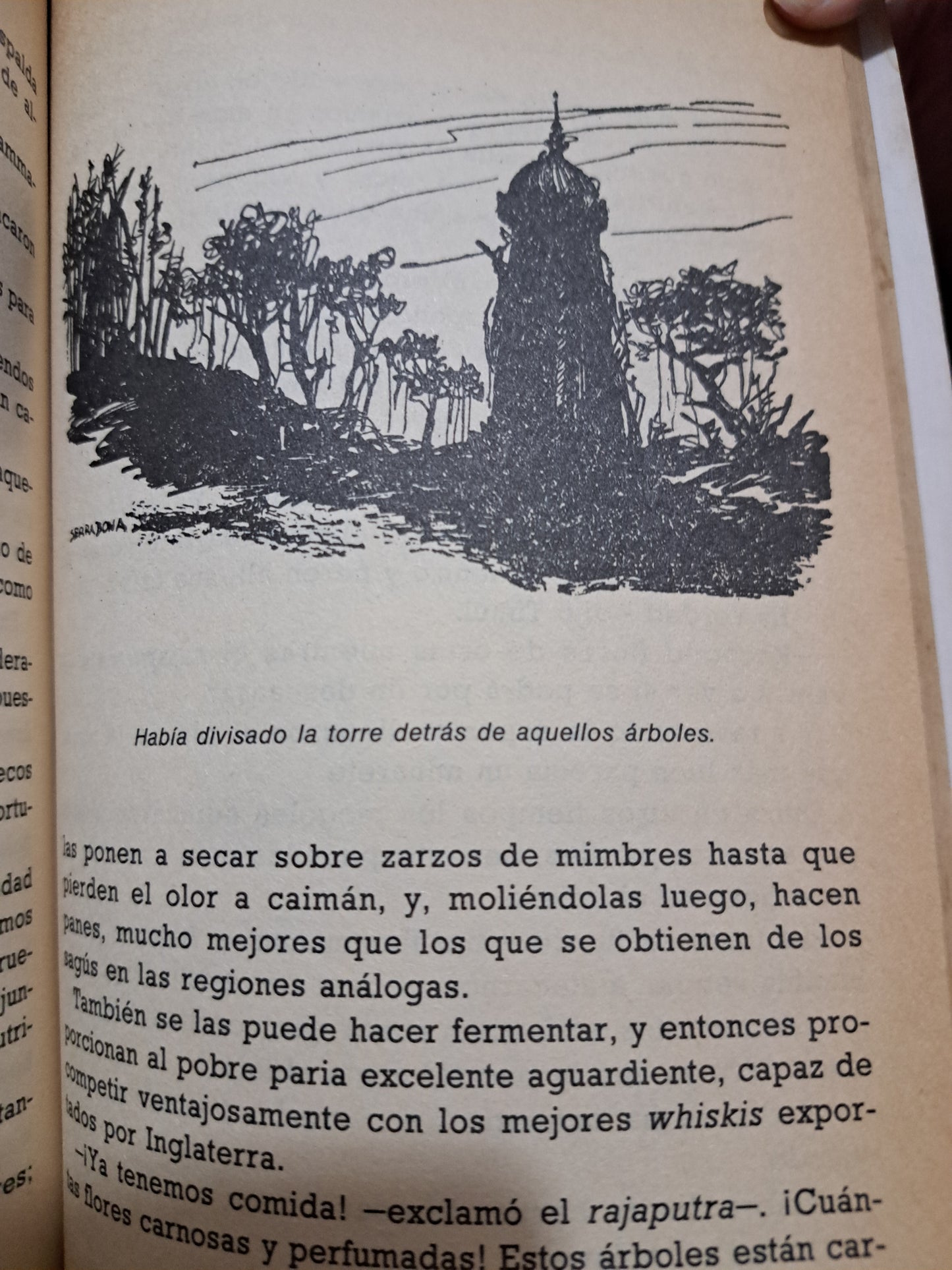 EL DESQUITE DE YÁÑEZ EMILIO SALGARI USADO NOVELA JUÁREZ