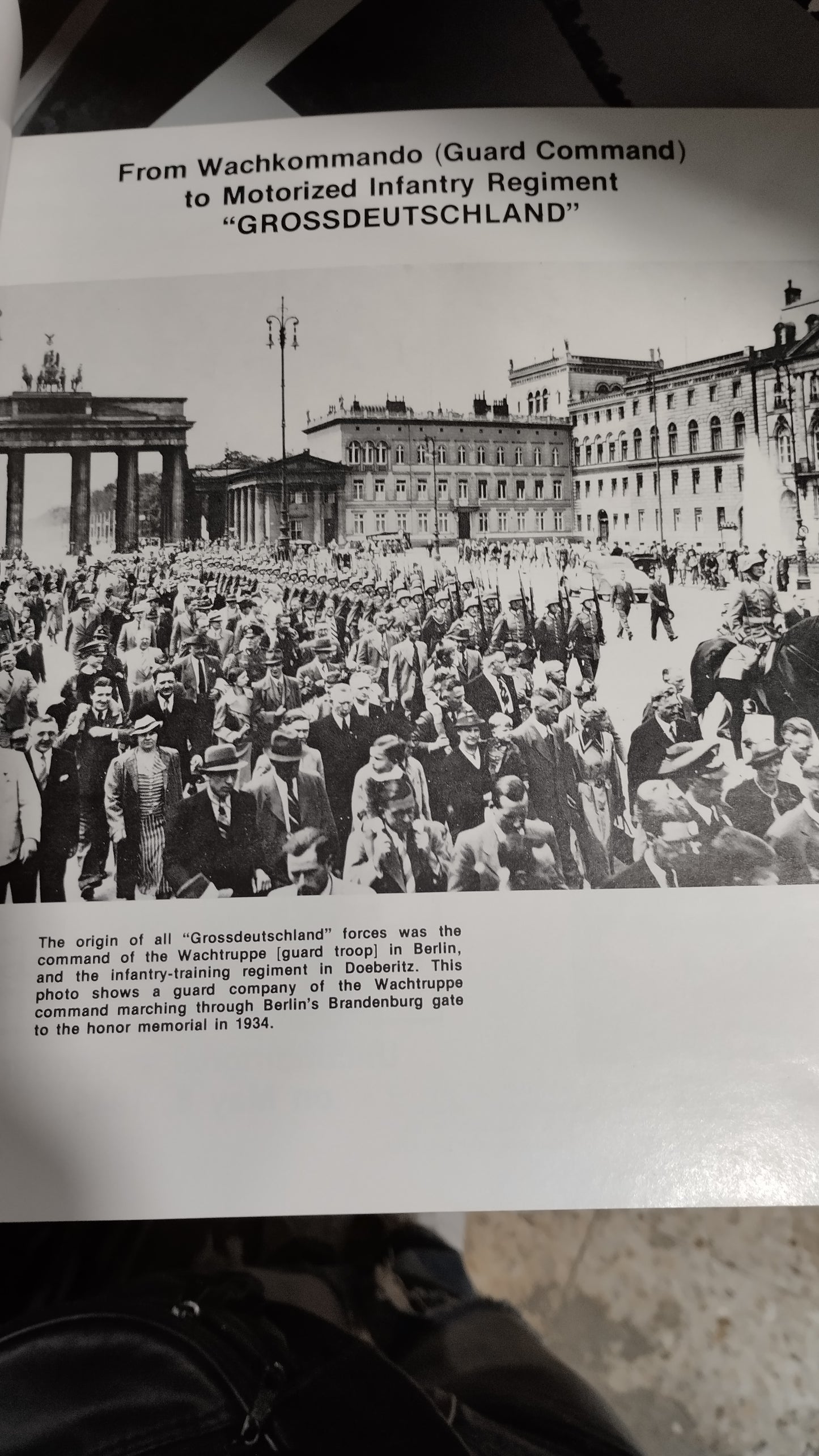 PANZER GRENADIER DIVISION POR HORST SCHEIBERT LIBRO USADO HISTORIA ALDAMA