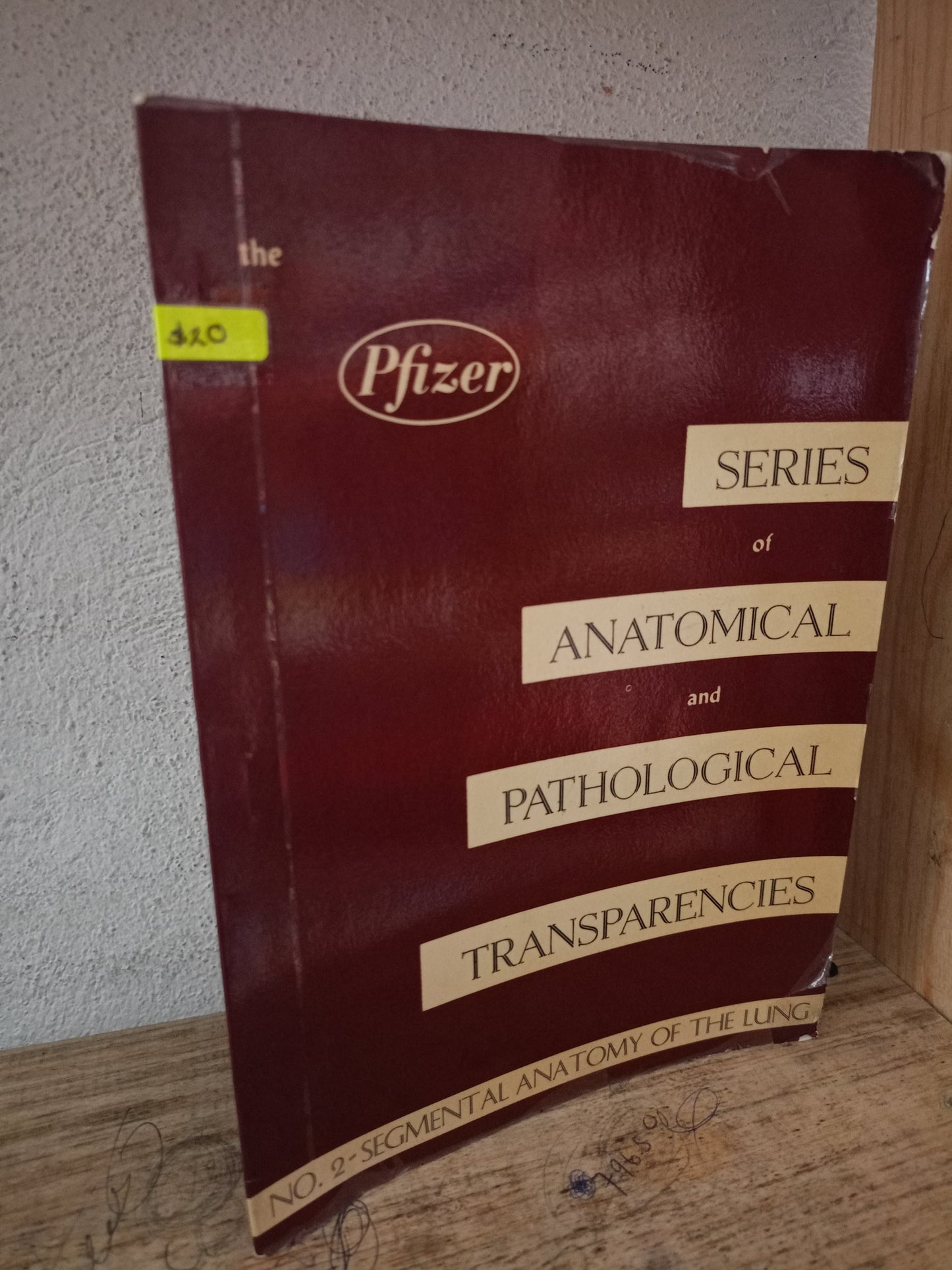 SERIES OF ANATOMICAL AND PATHOLOGICAL TRANSPARENCIES USADO SALUD LITERARIO 305