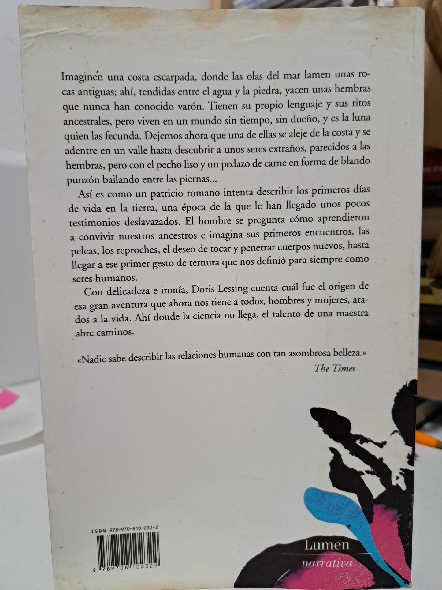 LA GRIETA DORIS LESSING USADO NOVELA JUÁREZ