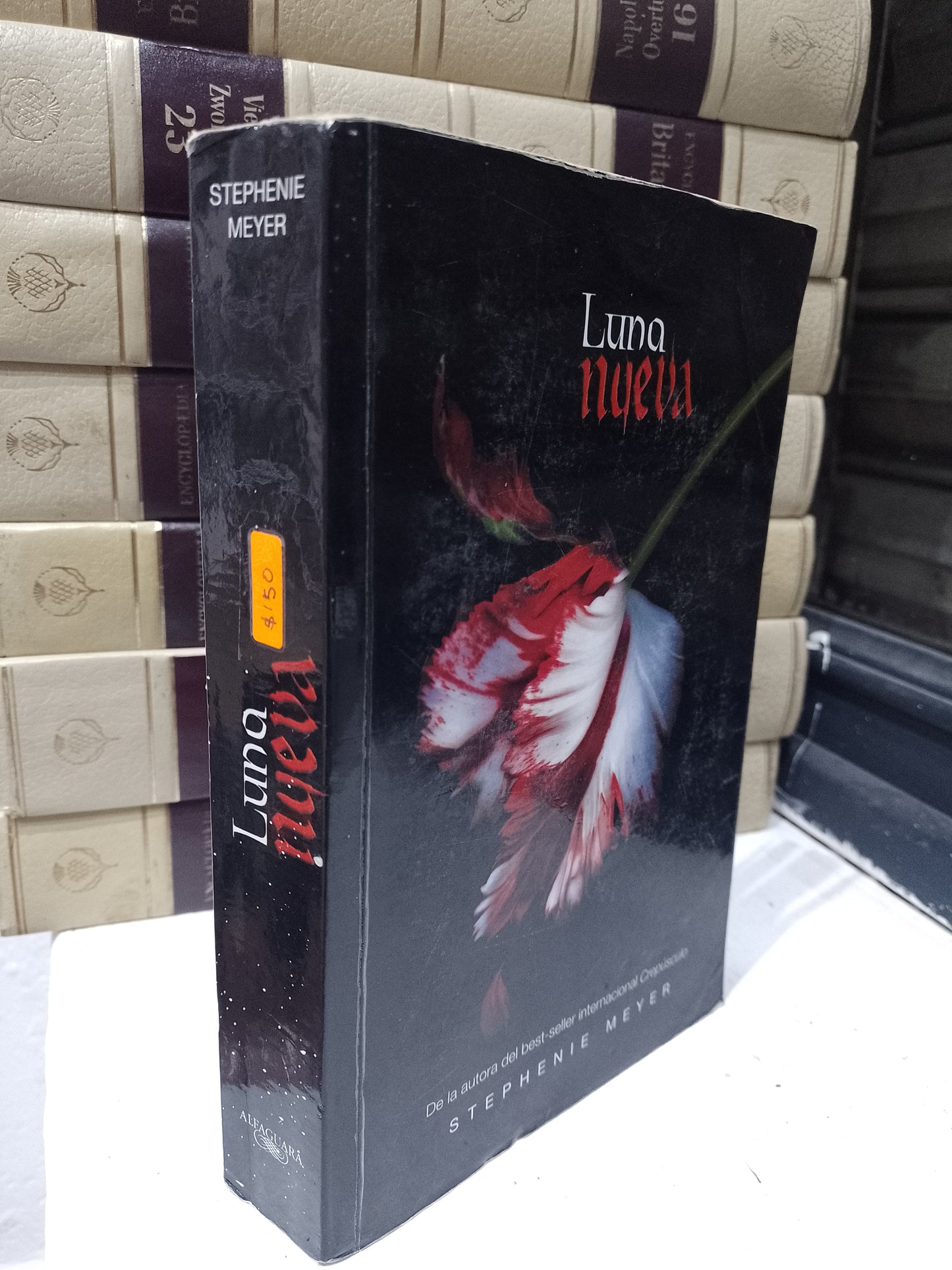 LUNA NUEVA POR STEPHENIE MEYER USADO NOVELA JUAREZ 515