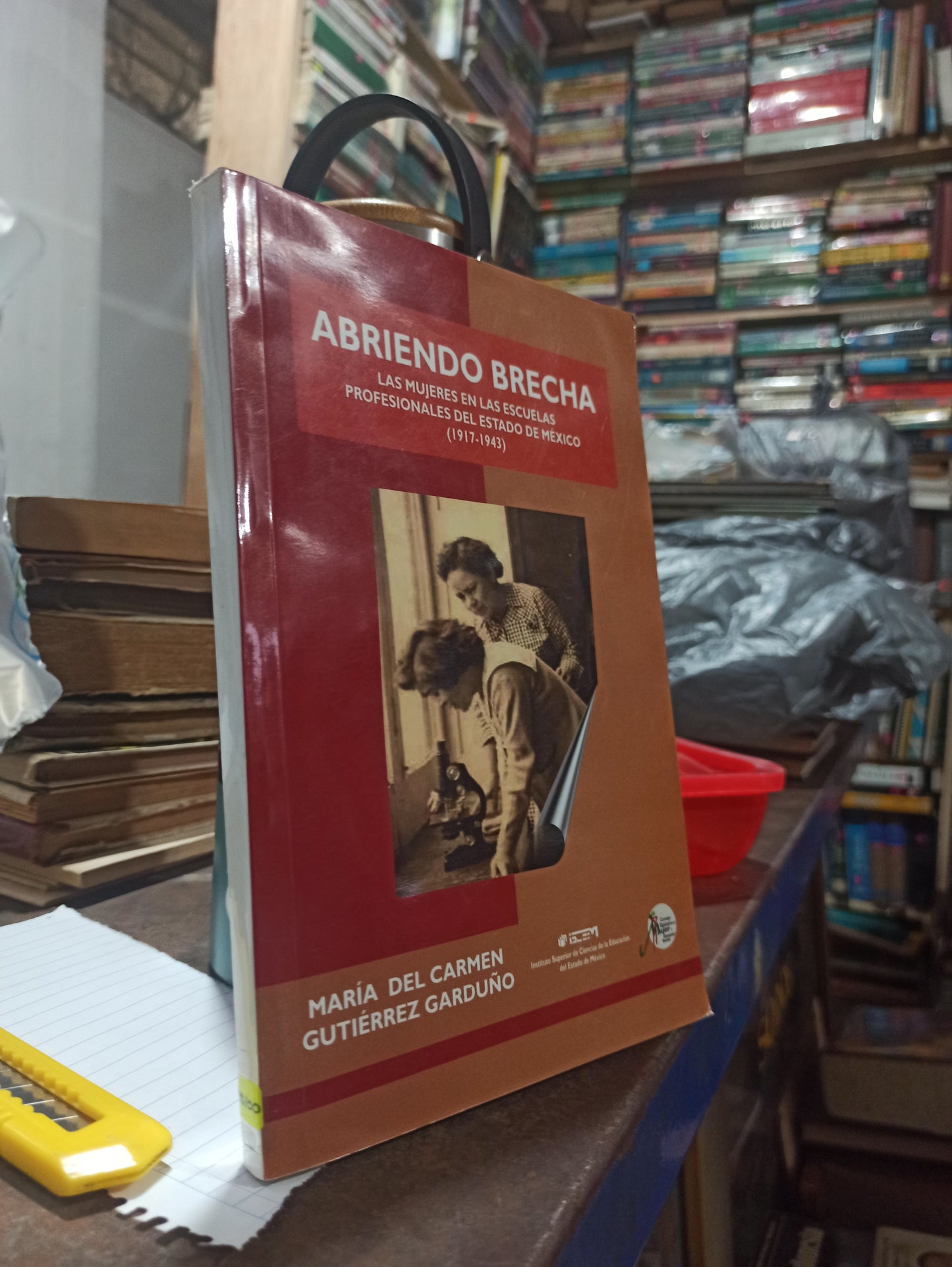 ABRIENDO BRECHA POR MARÍA DEL CARMEN GUTIÉRREZ GARDUÑO USADO ESTADO DE MEXICO ALDAMA