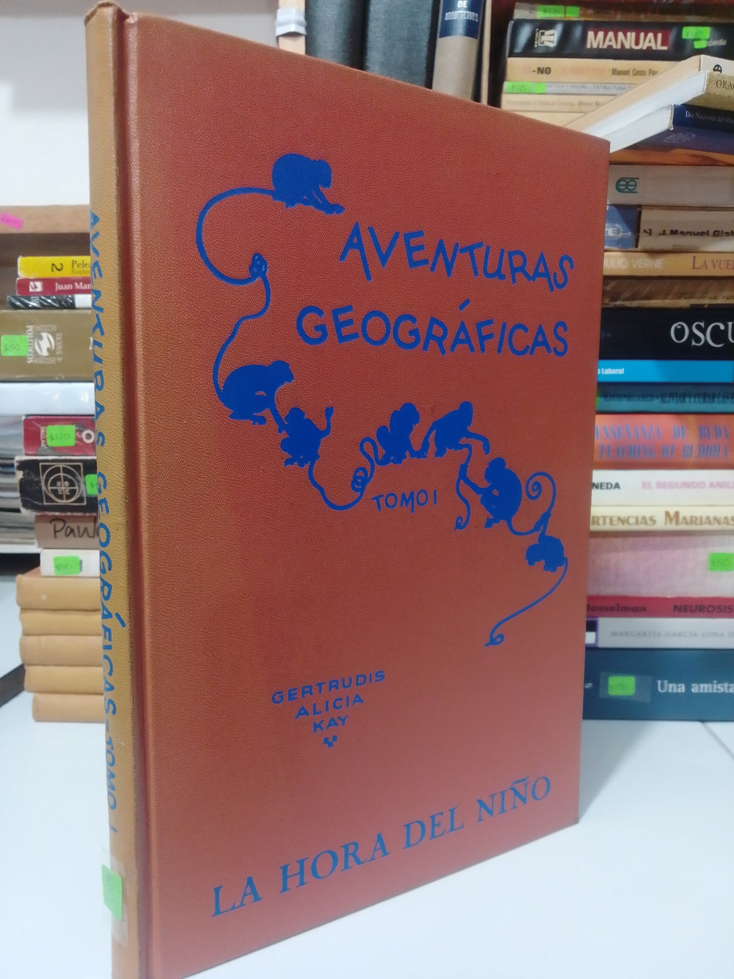 AVENTURAS GEOGRAFICAS TOMO I POR GERTRUDIS ALICIA KAY USADO INFANTIL JUAREZ
