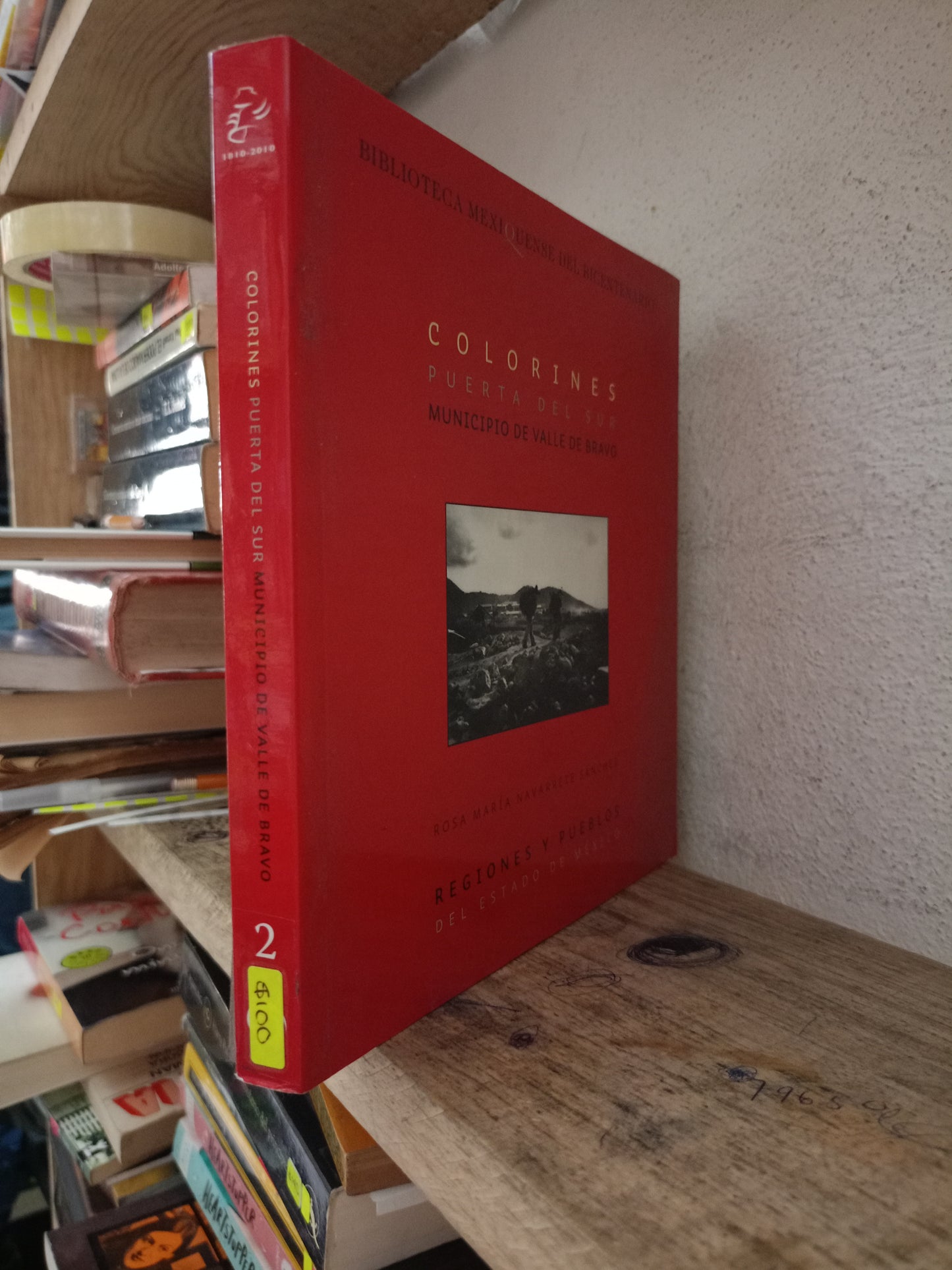 COLORINES PUERTA DEL SUR MUNICIPIO DE VALLE DE BRAVO ROSA MARIA NAVARRETE SÁNCHEZ USADO HISTORIA LITERARIO 305