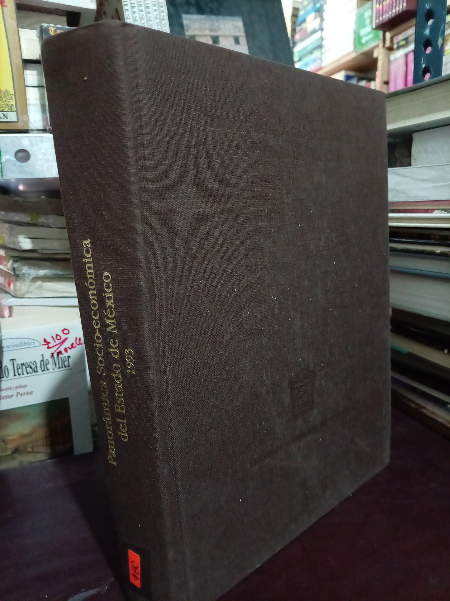 PANORÁMICA SOCIO ECONÓMICO DEL ESTADO DE MEXICO 1993 USADO HISTORIA LITERARIO 305