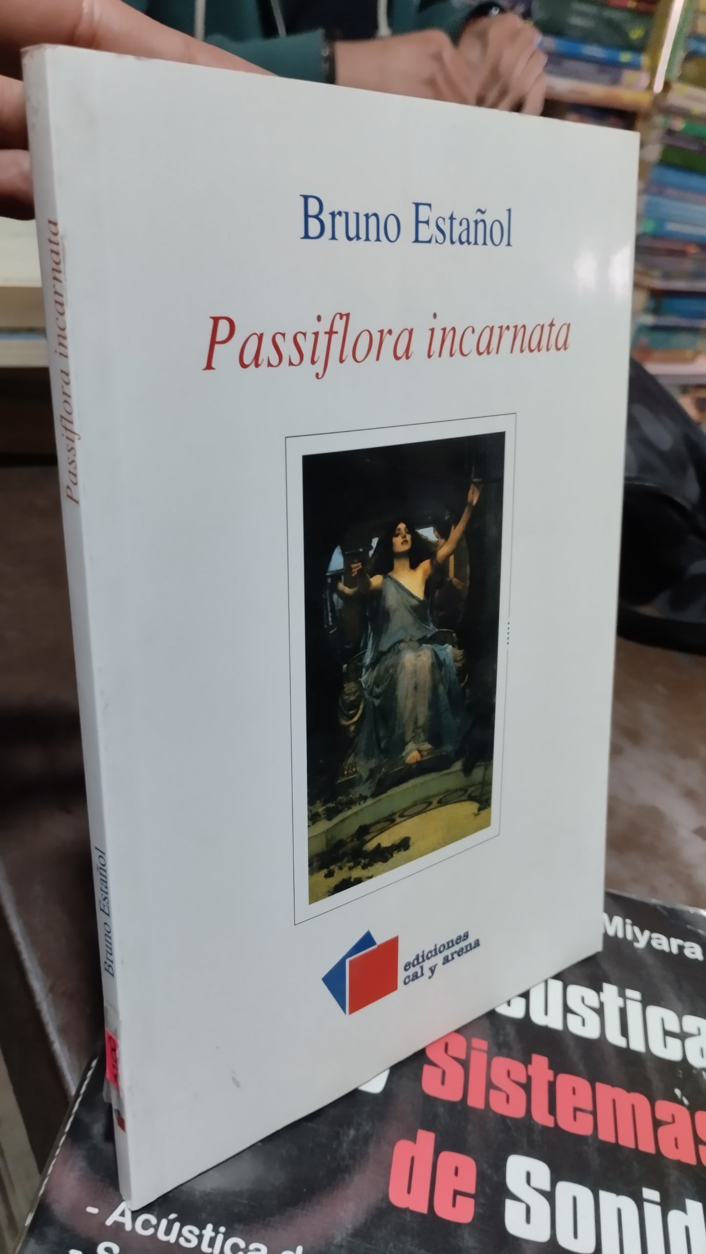 PASSIFLORA INCARNATA POR BRUNO ESPAÑOL LIBRO USADO NOVELAS ALDAMA