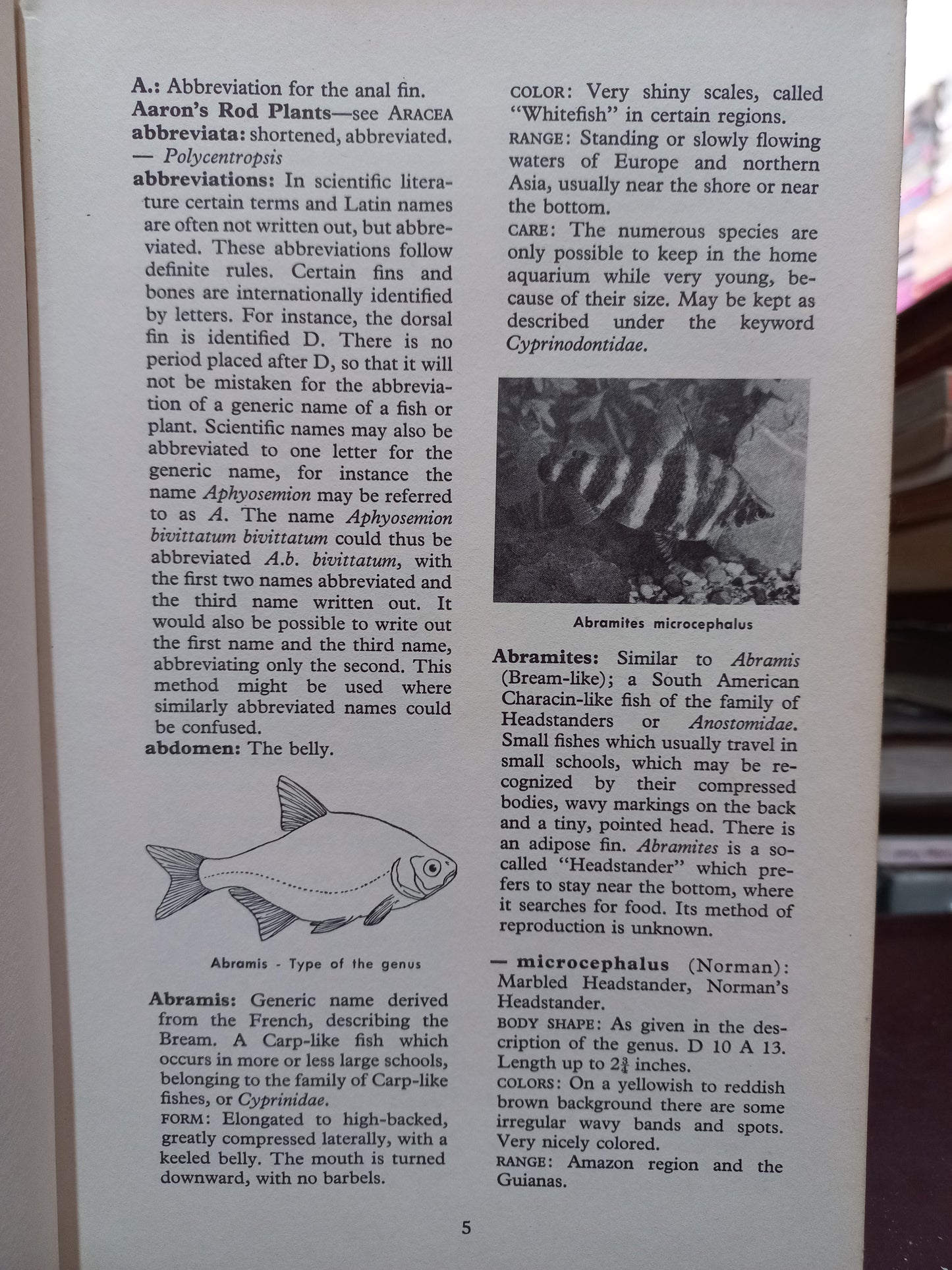 ILLUSTRATED DICTIONARY OF TROPICAL FISHES POR HANS FREY USADO BIOLOGÍA LITERARIO 305