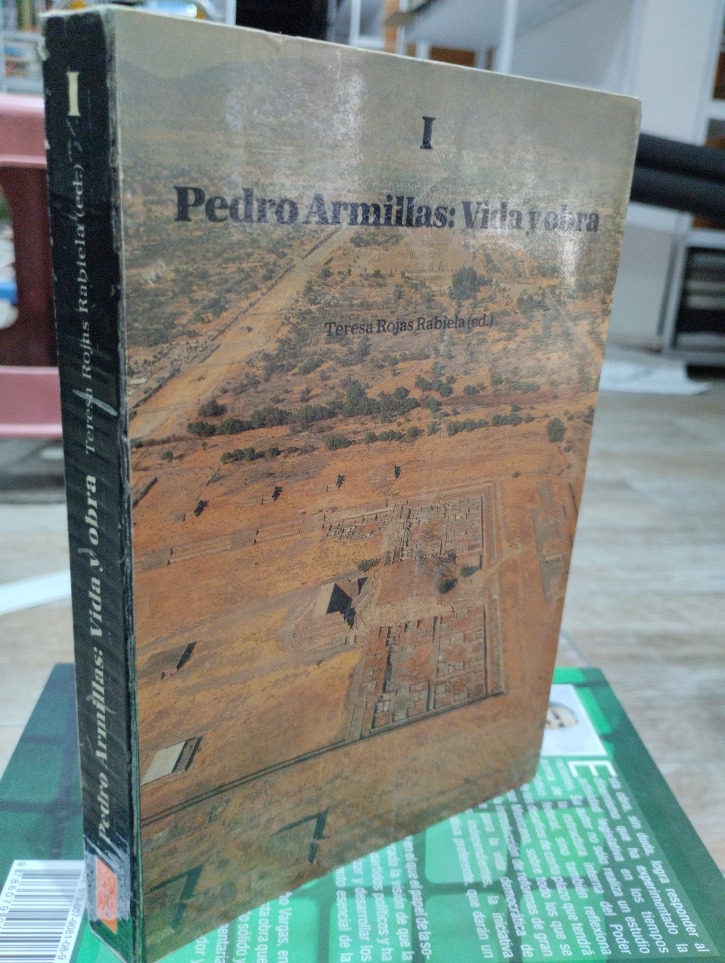 PEDRO ARMILLAS VIDA Y OBRA POR TERESA ROJAS RABIELA USADO HISTORIA JUAREZ 515