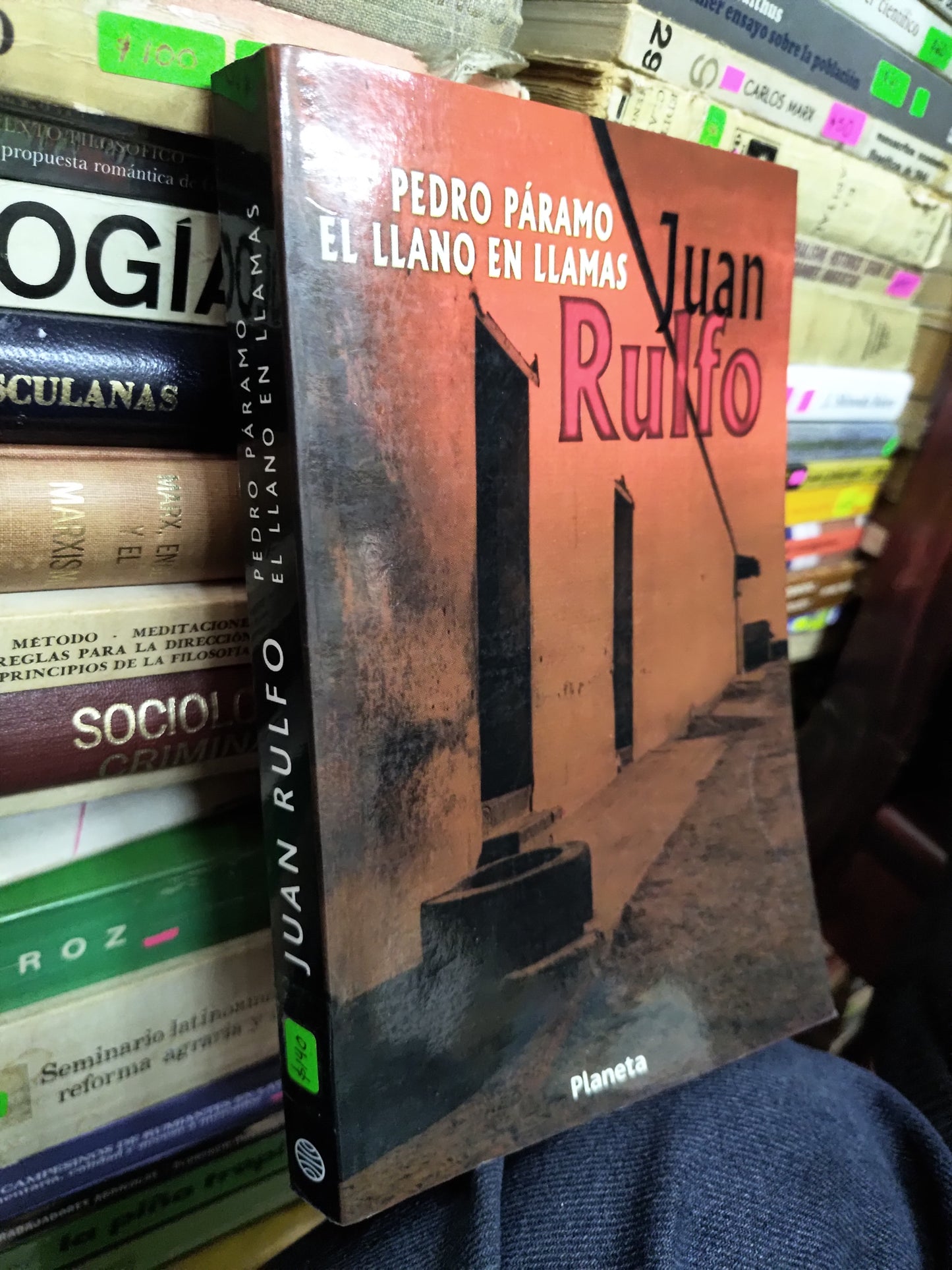 PEDRO PARAMO EL LLANO EN LLAMAS POR JUAN RULFO USADO NOVELAS LITERARIO 207