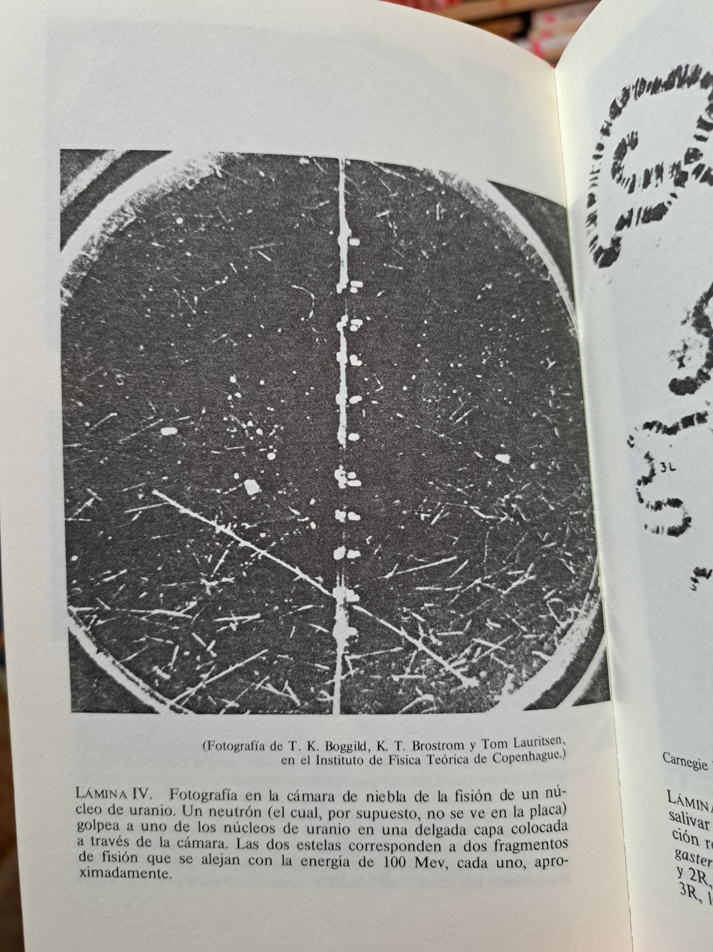 UN, DOS, TRES... INFINITO GEORGE GAMOW USADO NOVELA JUÁREZ