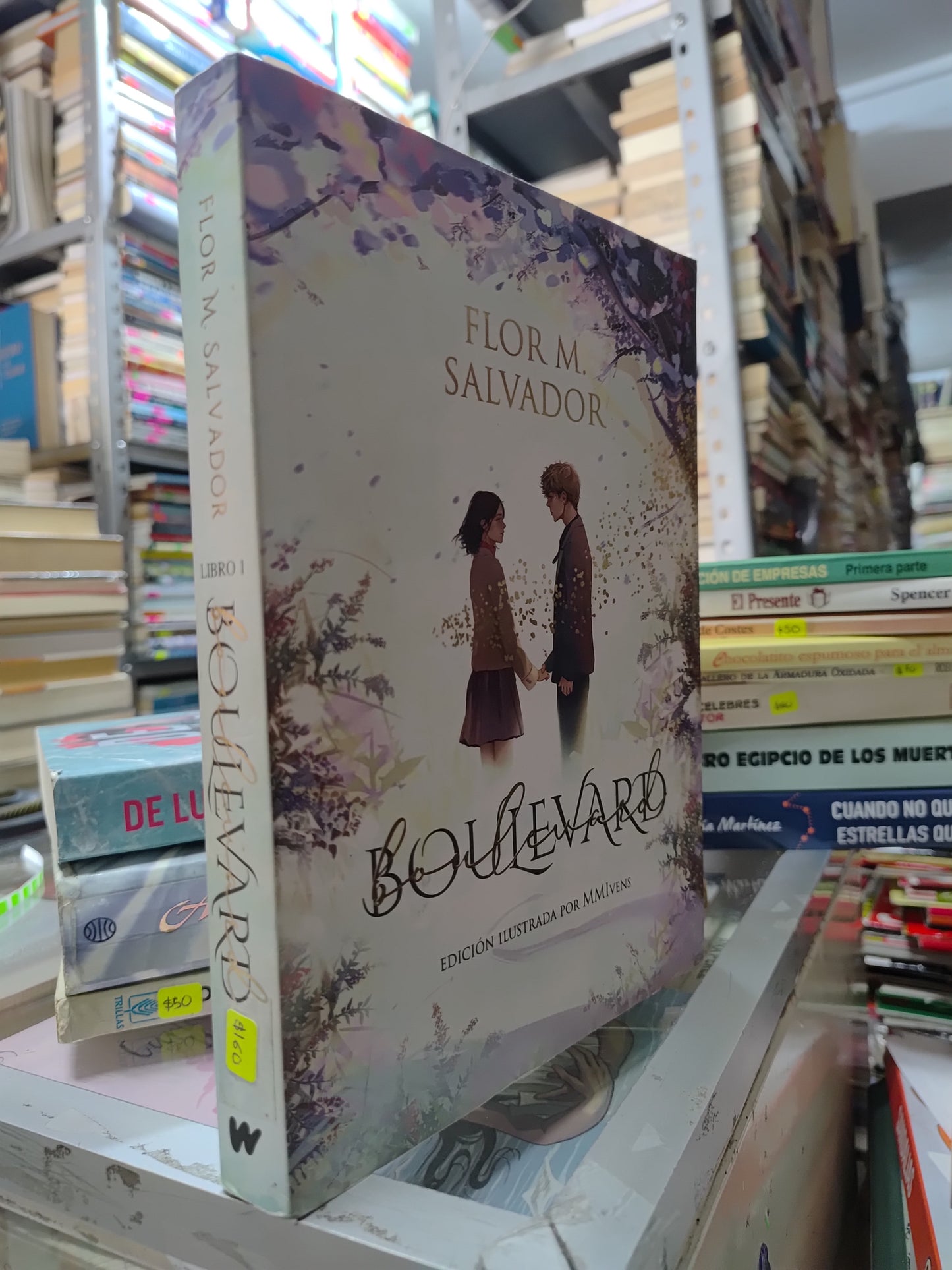 BOULEVARD POR FLOR M. SALVADOR USADO NOVELAS JUAREZ 515