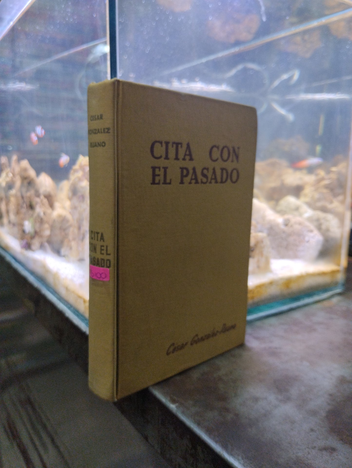 CITA CON EL PASADO POR CESAR GONZÁLEZ RUANO USADO NOVELAS ALDAMA