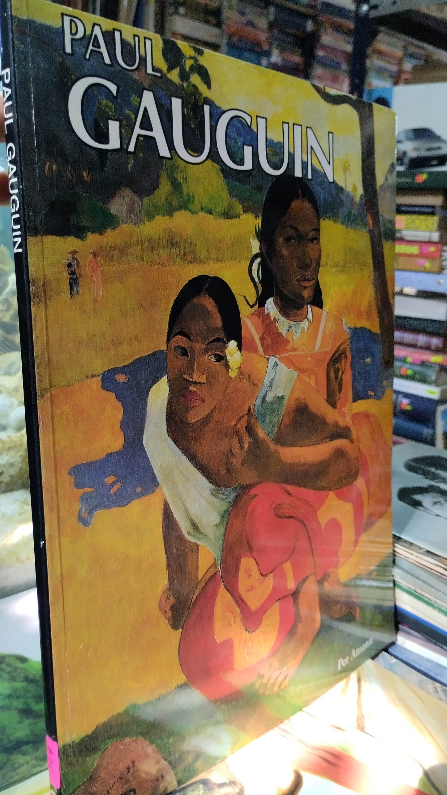 PAUL GAUGUIN LIBRO USADO ARTE ALDAMA