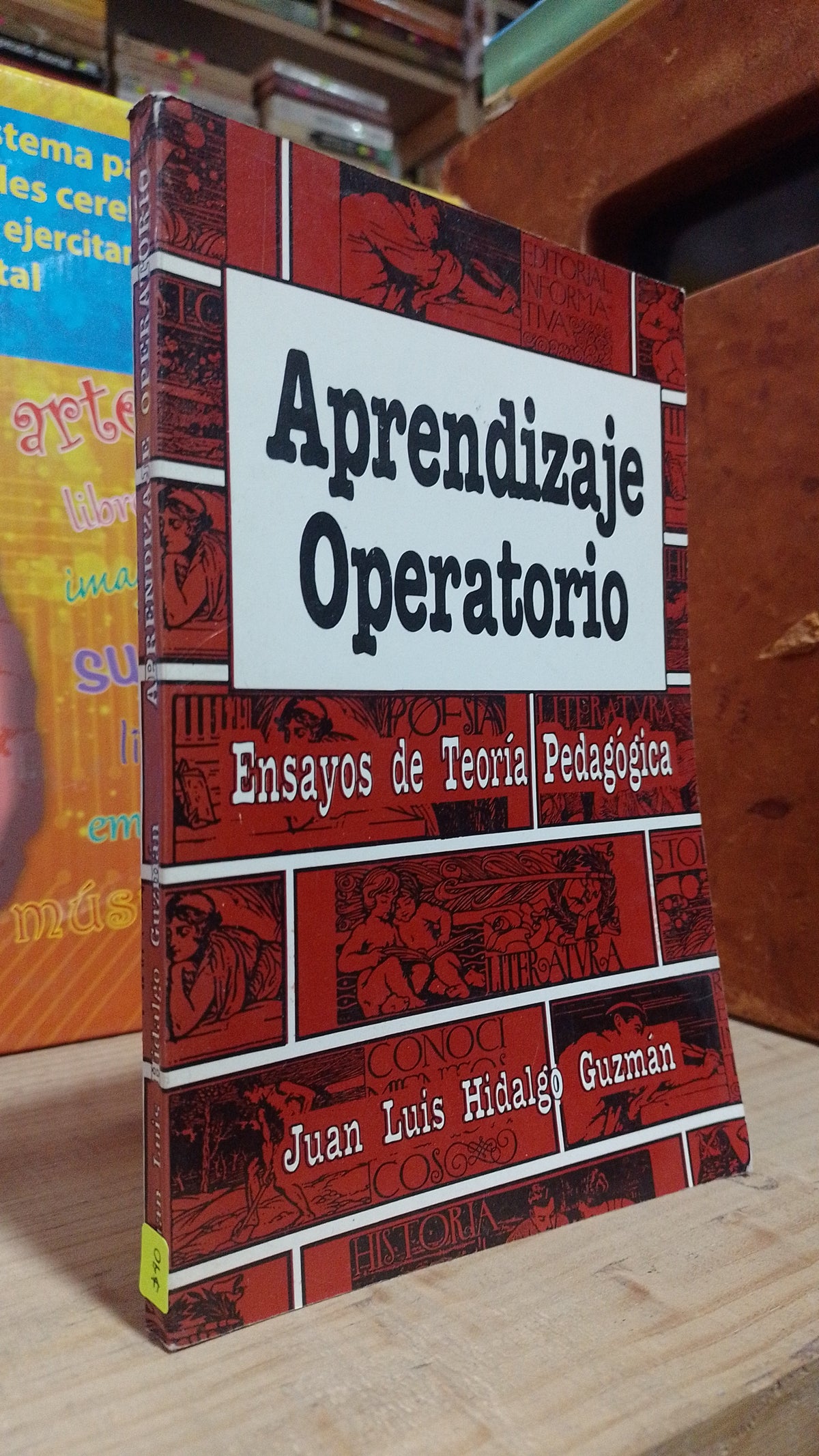APRENDIZAJE OPERATORIO ENSAYOS DE TEORIA PEDAGOGICA POR JUAN LUIS HIDALGO GUZMAN USADO EDUCACION ALDAMA
