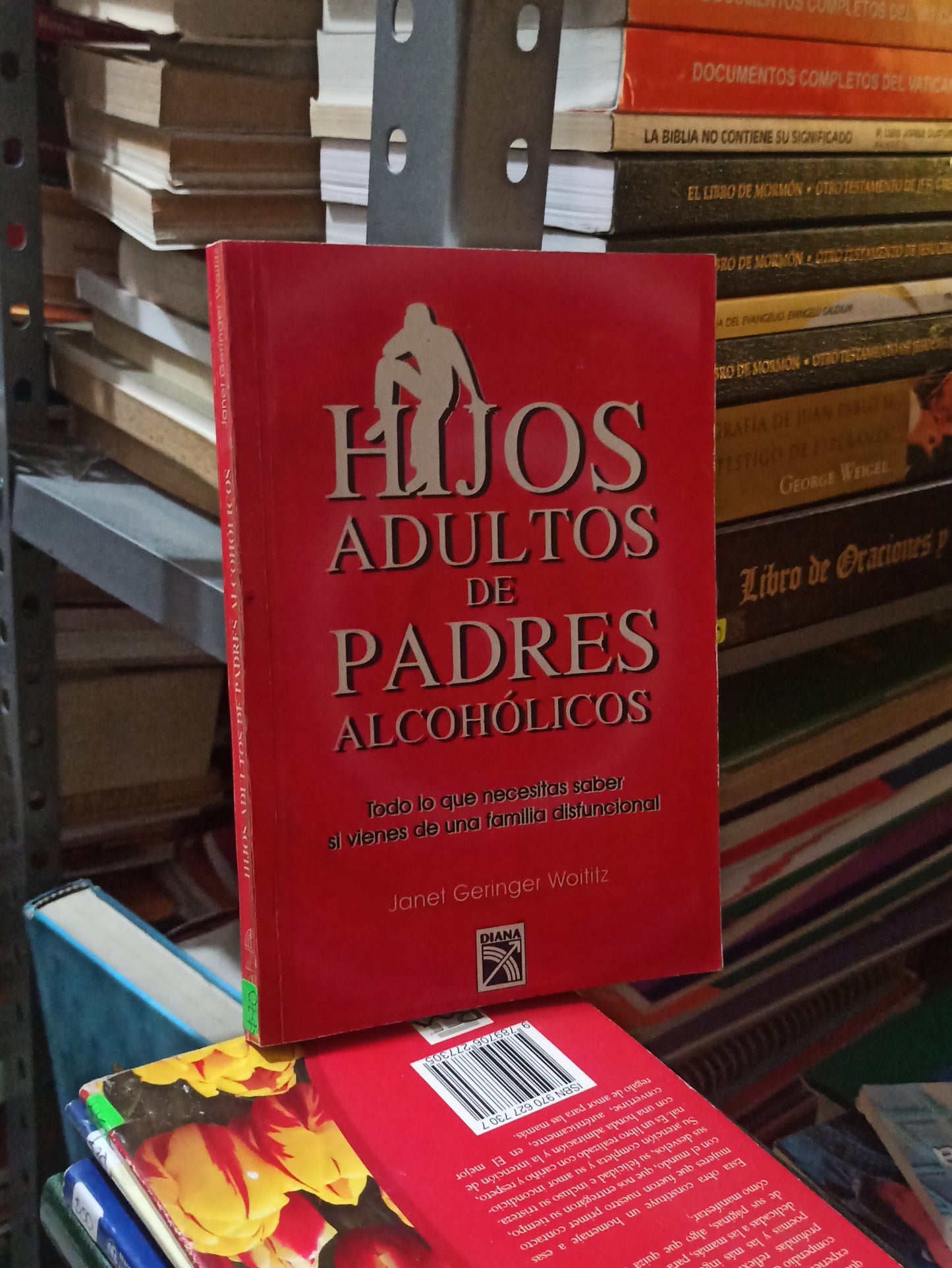 HIJOS ADULTOS DE PADRES ALCOHOLICOS POR JANET GERINGER WOITITZ USADO SUPERACIÓN PERSONAL JUÁREZ