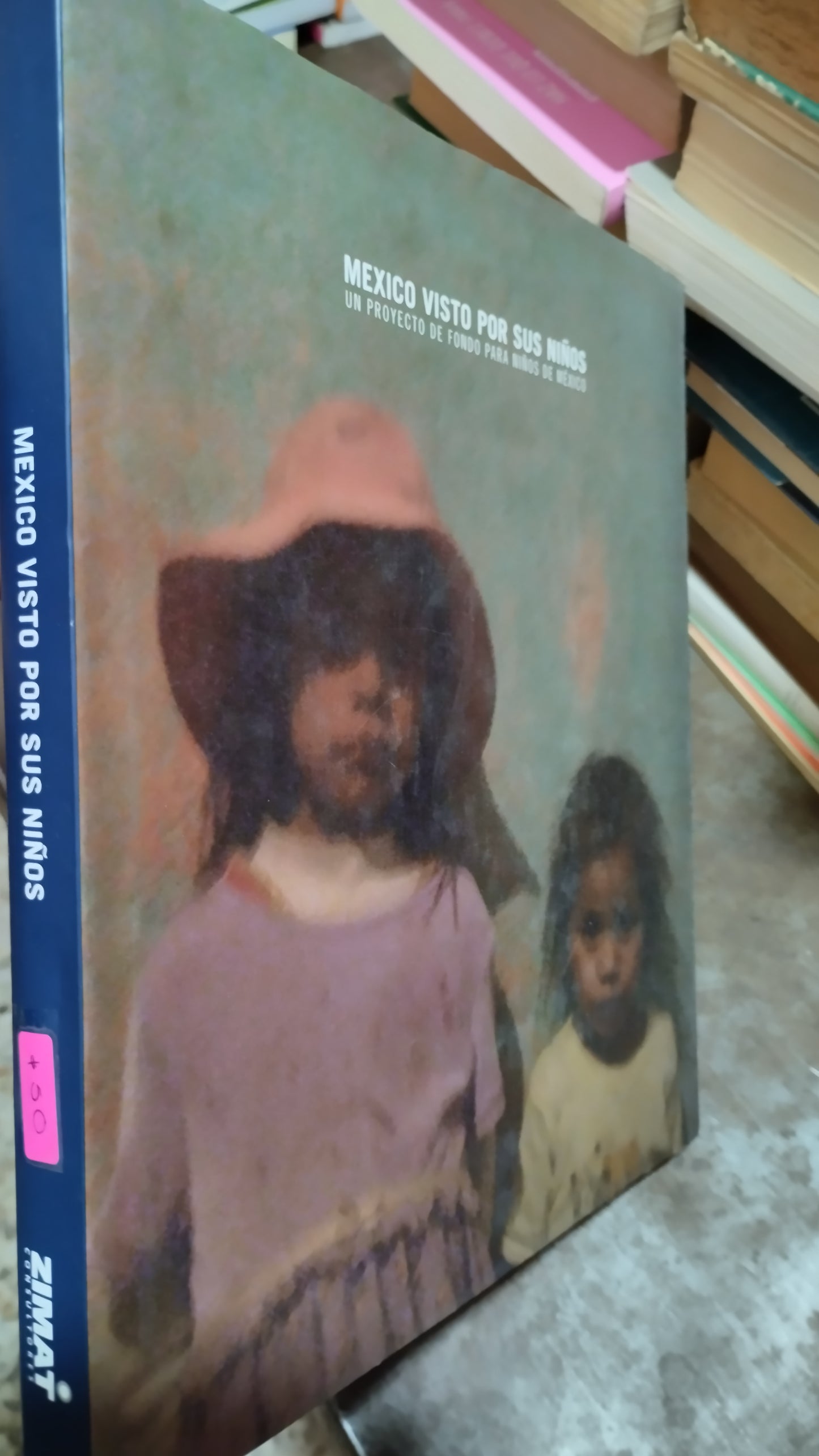 MEXICO VISTO POR SUS NIÑOS POR DIEGO GOMEZ LIBRO USADO ESTADO DE MEXICO ALDAMA