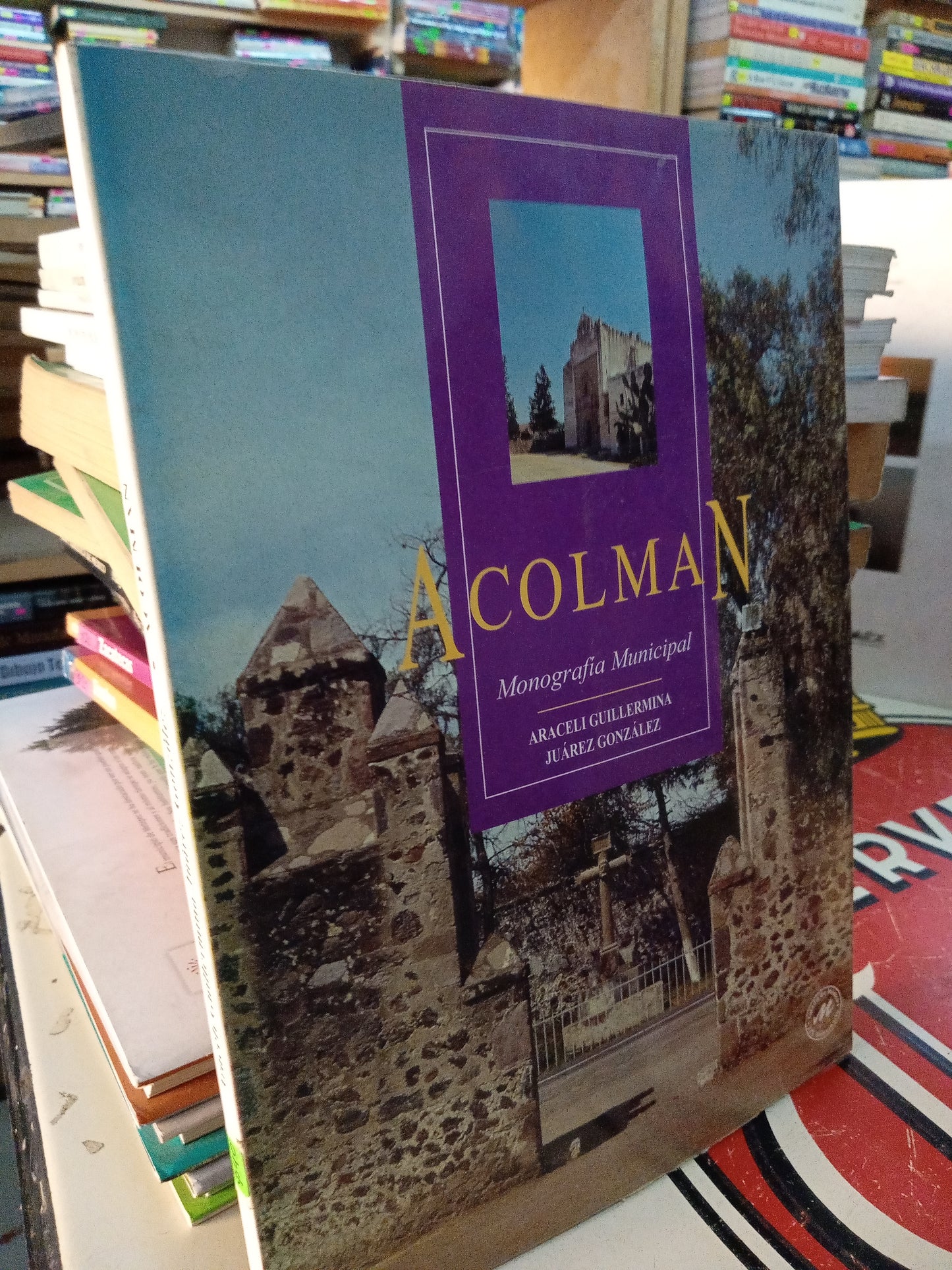 ACOLMAN MONOGRAFÍA MUNICIPAL POR ARACELI GUILLERMINA USADO TURISMO LITERARIO 207
