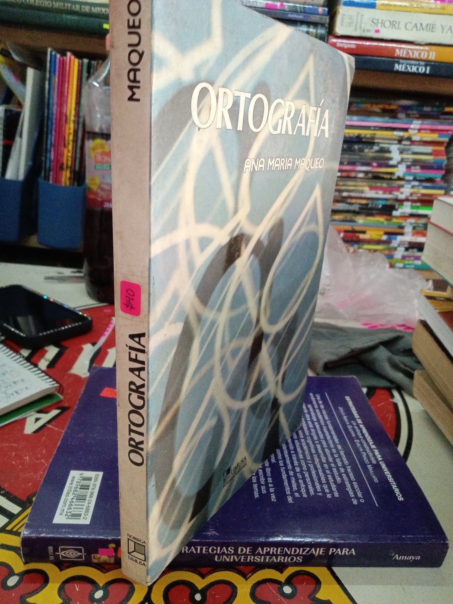 ORTOGRAFIA POR ANA MARIA MAQUEO USADO EDUCACION LITERARIO 207