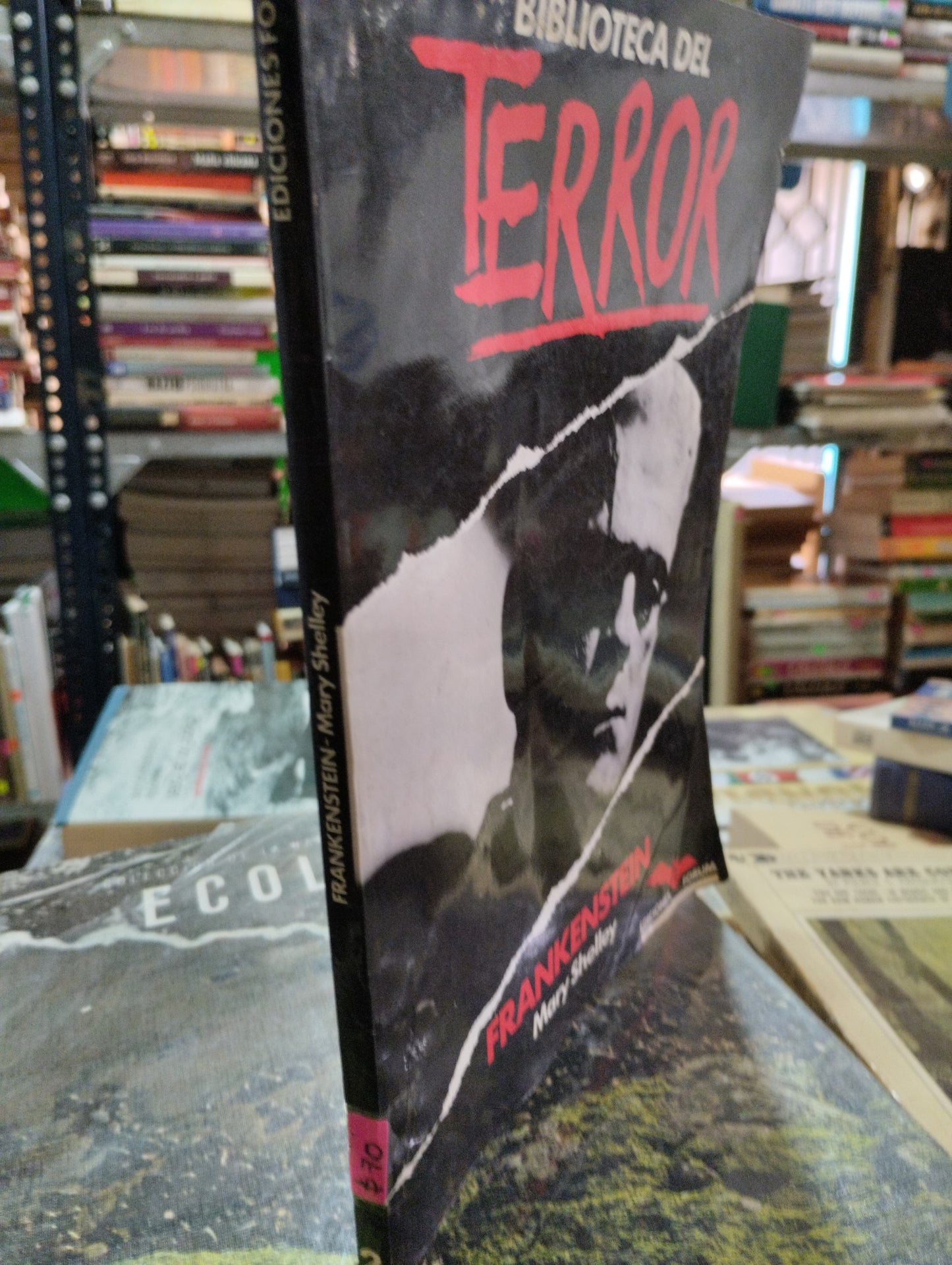 FRANKENSTEIN POR MARY SHELLEY USADO NOVELAS ALDAMA