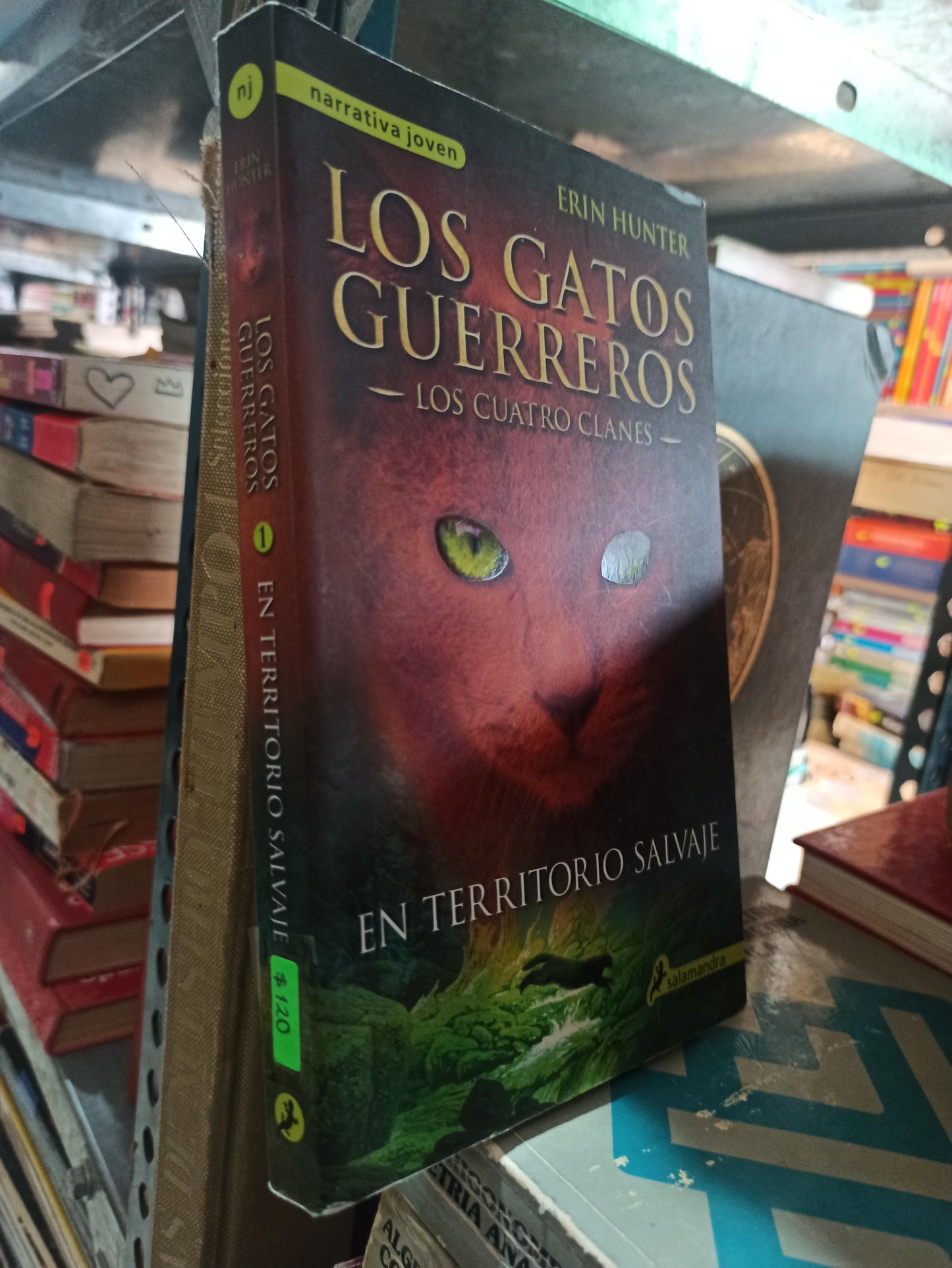 LOS GATOS GUERREROS LOS CUATRO CLANES POR ERIN HUNTER USADO NOVELAS ALDAMA