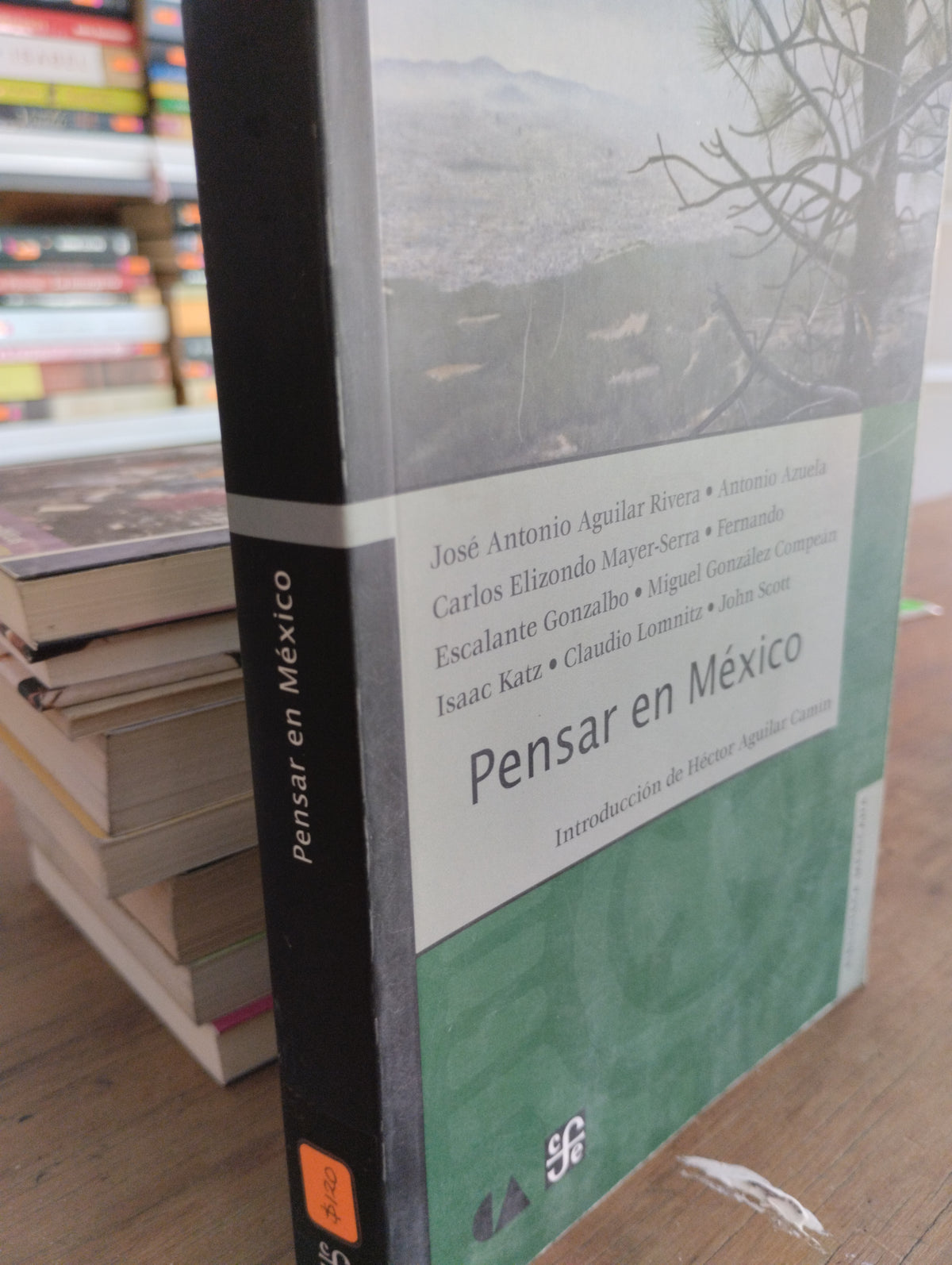 PENSAR EN MEXICO VARIOS AUTORES USADO SOCIOLOGIA JUAREZ 515