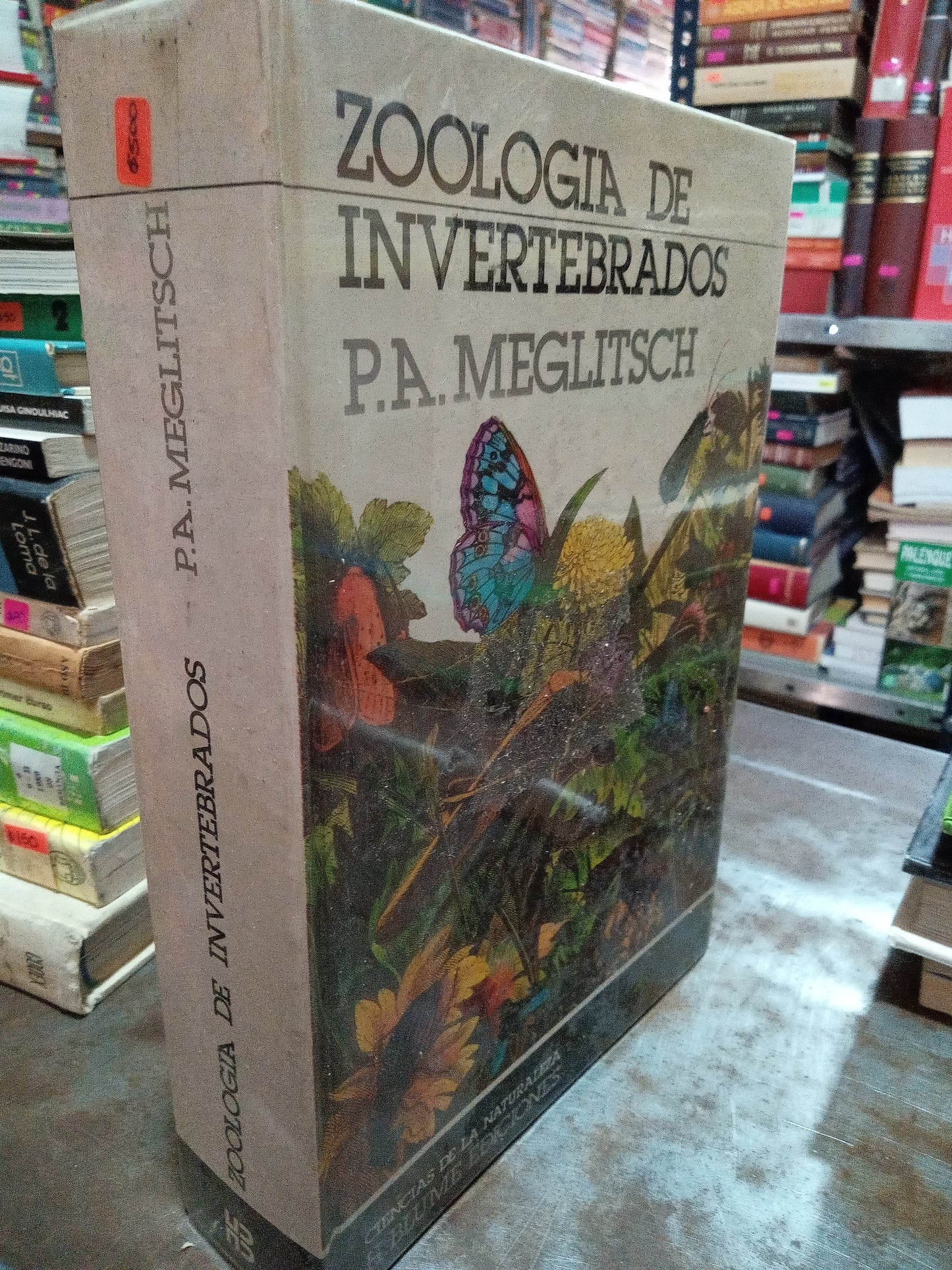 ZOOLOGIA DE INVERTEBRADOS POR P A MEGLITSCH USADO CIENCIA ALDAMA