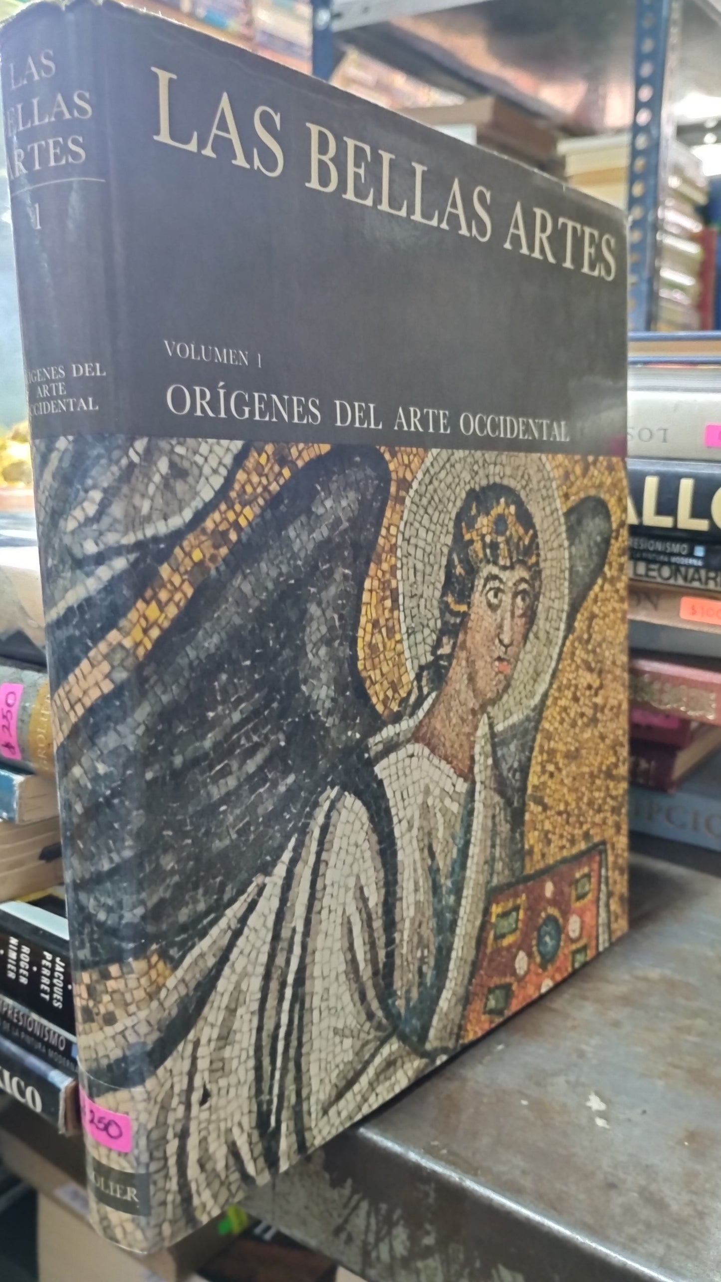 LAS BELLAS ARTES 1 LIBRO USADO ARTE ALDAMA
