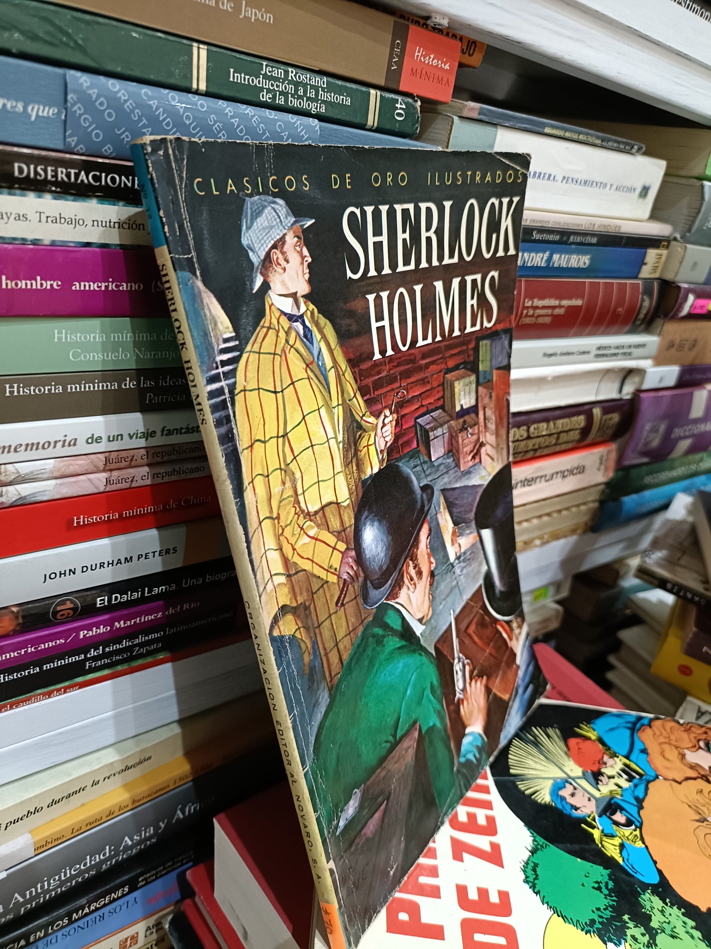 SHERLOCK HOLMES CLASICO ILUSTRADO USADO NOVELA JUAREZ 515