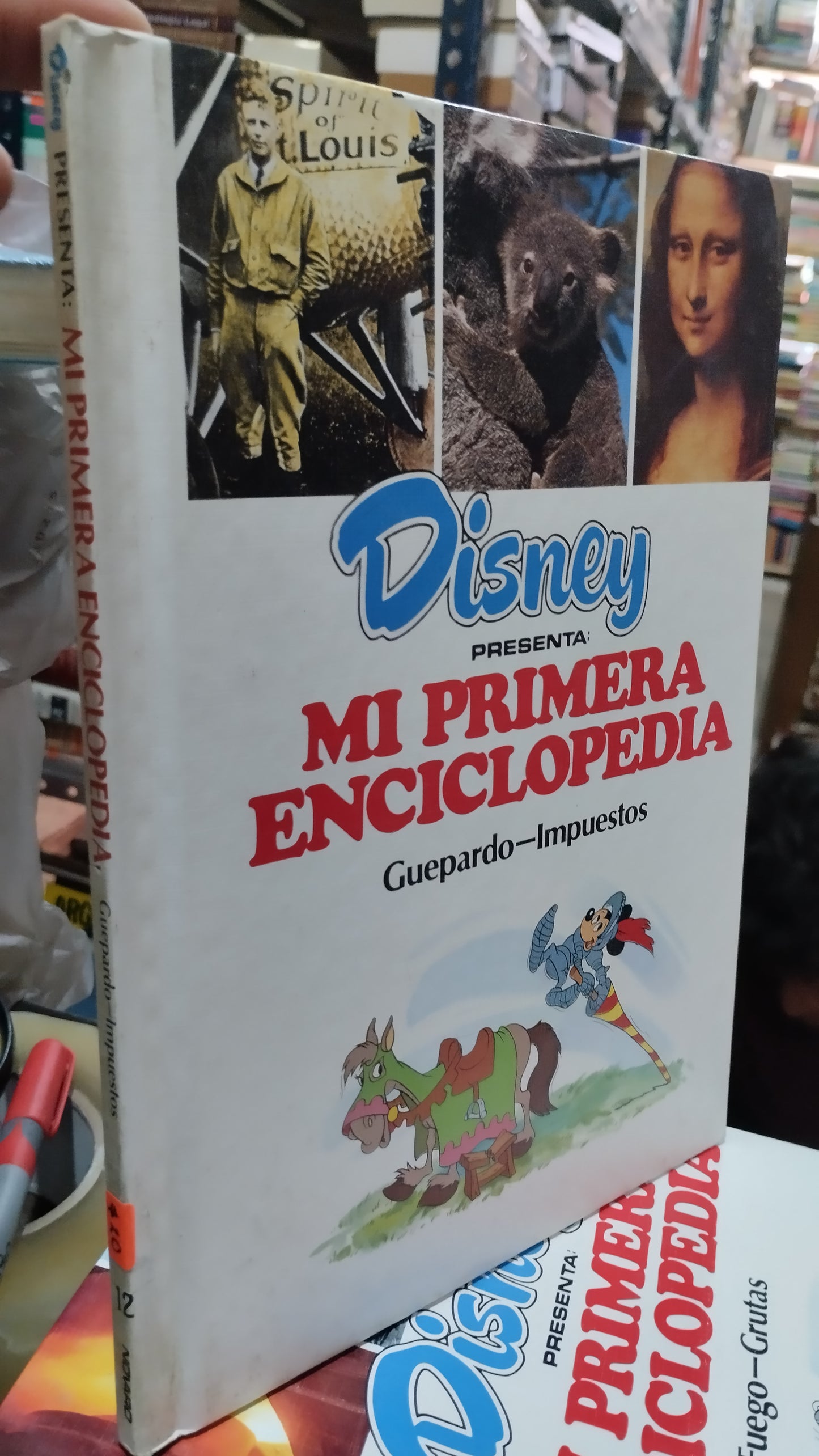 MI PRIMERA ENCICLOPEDIA GUEPARDO IMPUESTOS LIBRO USADO INFANTIL ALDAMA