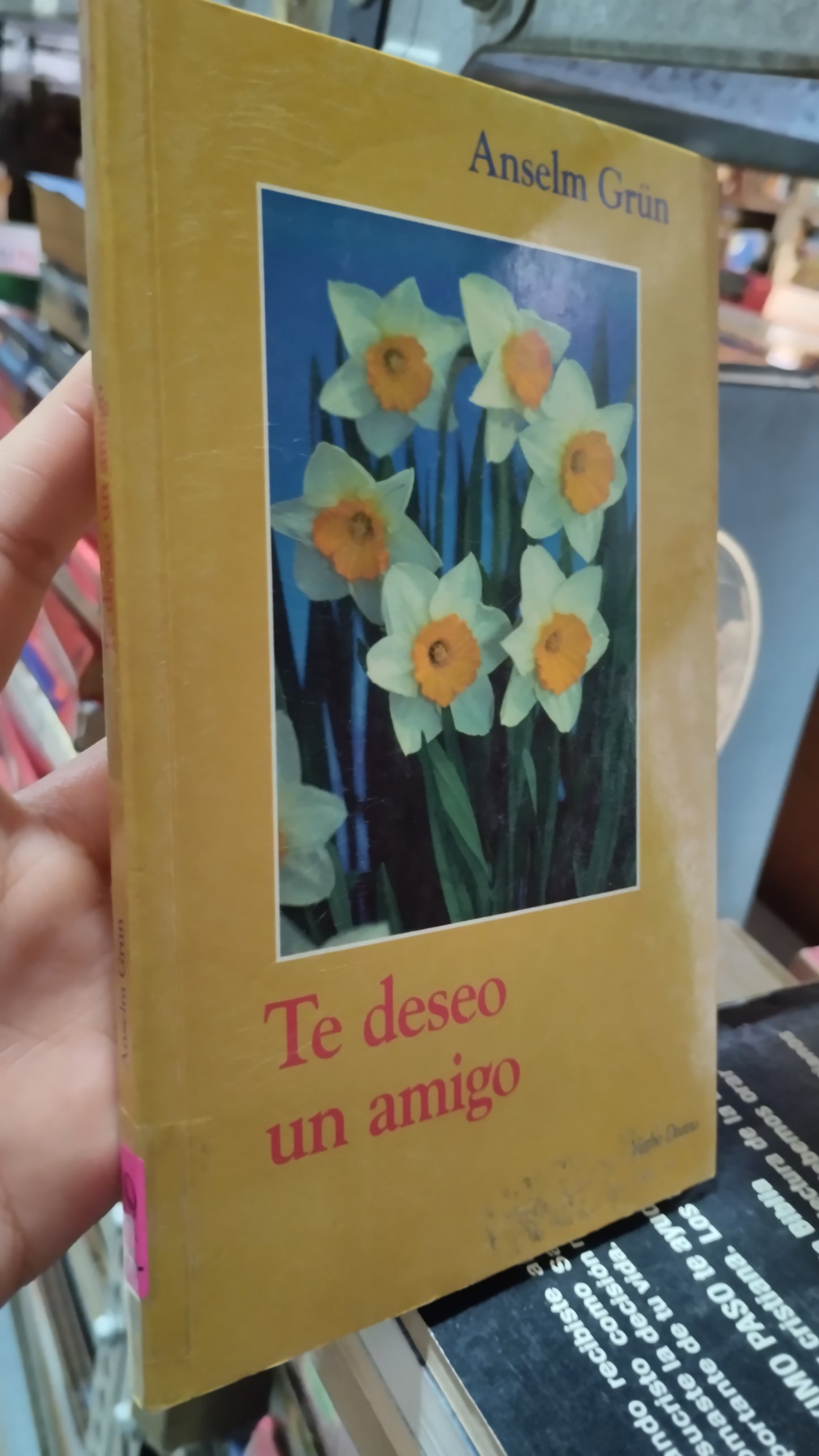 TE DESEO UN AMIGO POR ANSELM GRÜN LIBRO USADO RELIGION ALDAMA