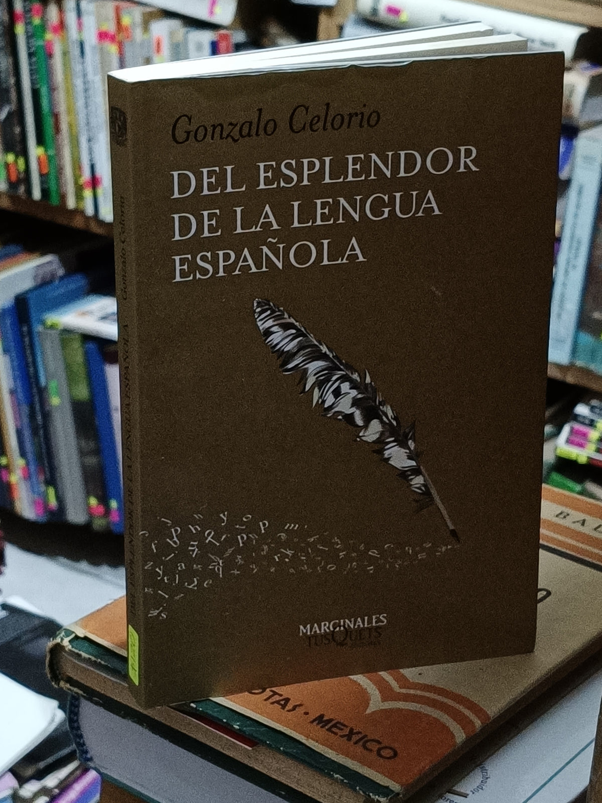 DEL ESPLENDOR DE LA LENGUA ESPAÑOLA GONZALO CELORIO USADO NOVELA LITERARIO 305