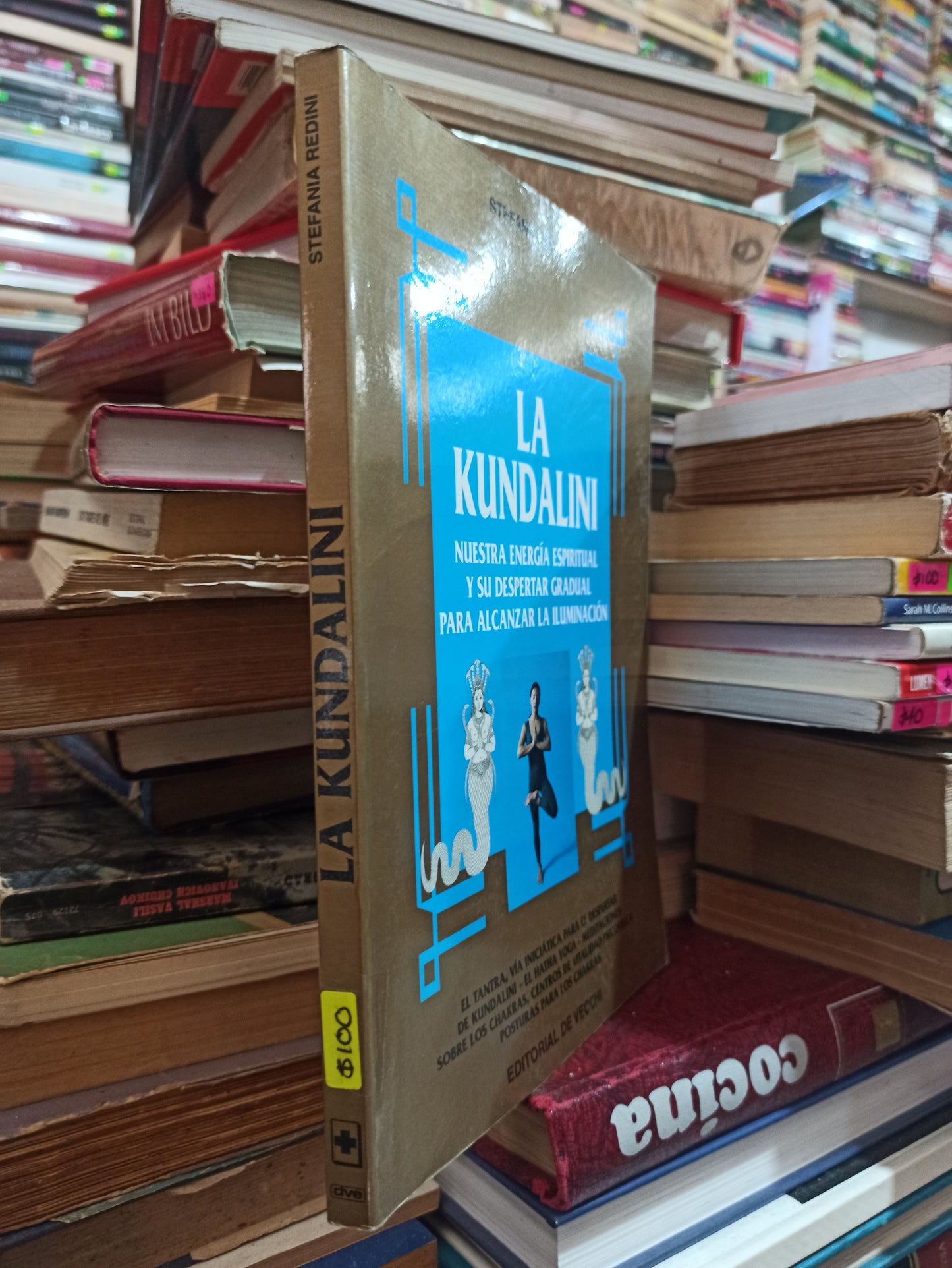 LA KUNDALINI POR STEFANIA REDINI USADO SUPERACIÓN PERSONAL ALDAMA