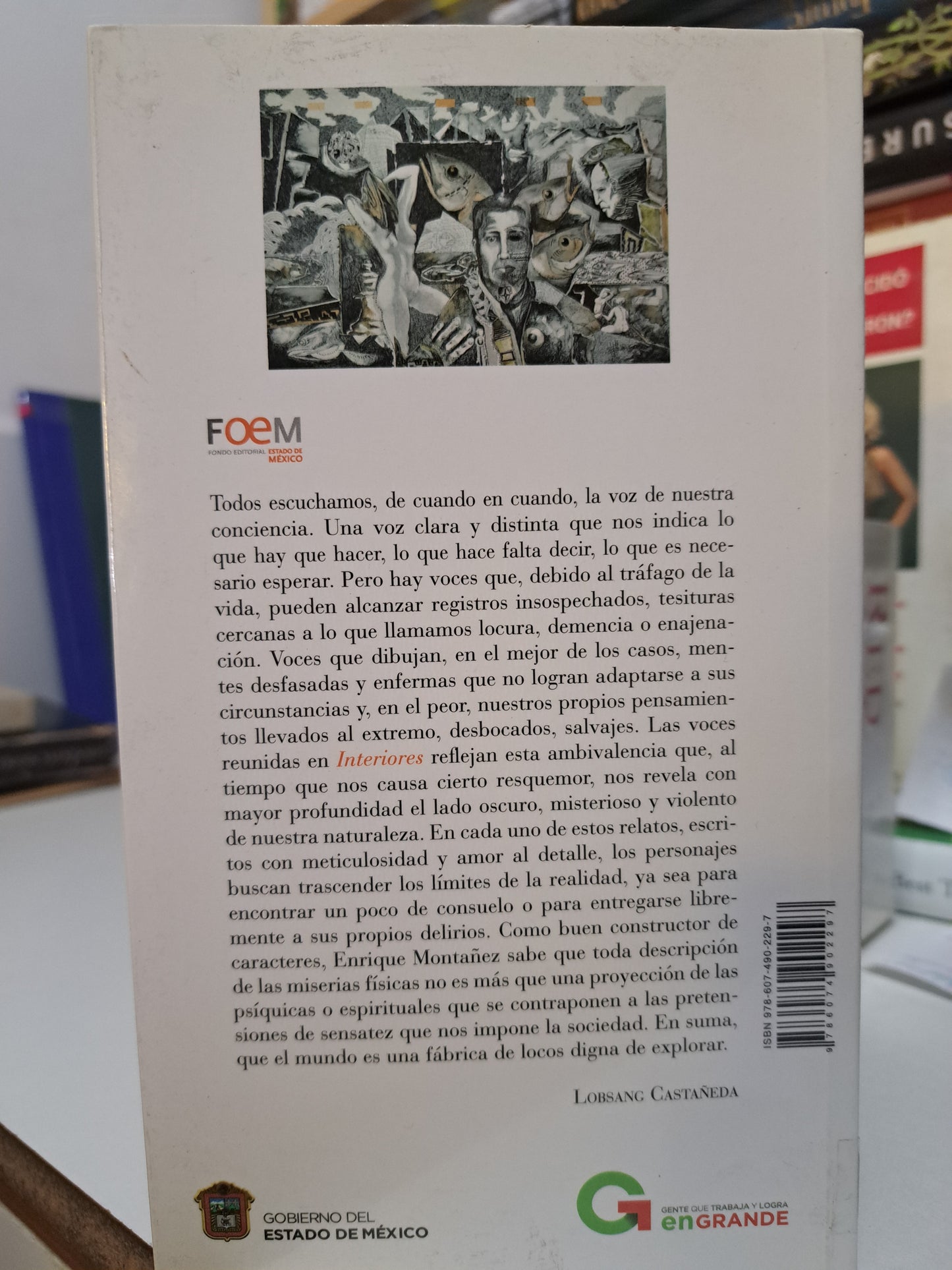 INTERIORES ENRIQUE MONTAÑÉZ USADO NOVELA JUAREZ