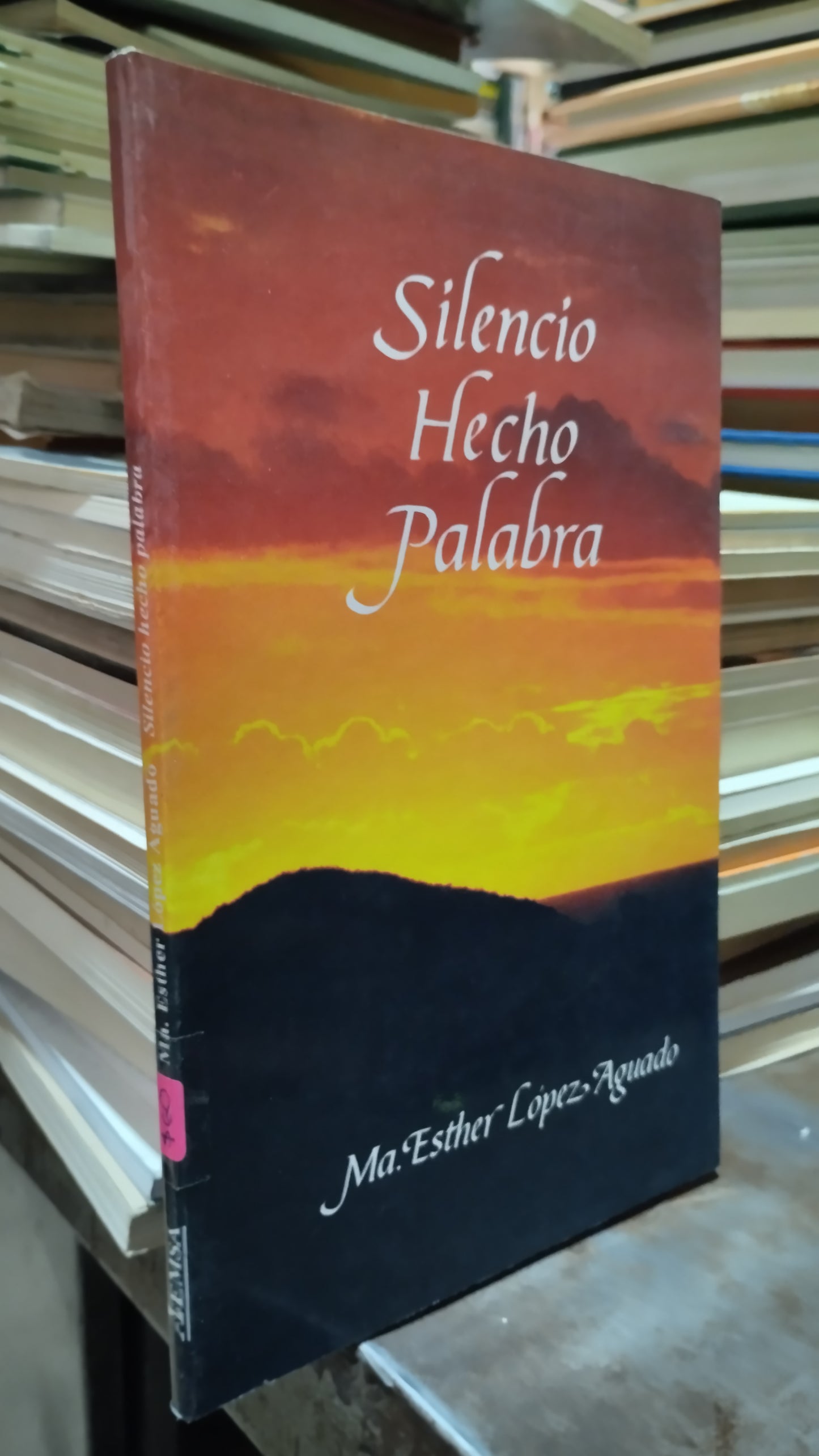 SILENCIO HECHO PALABRA POR MARIA ESTHER LOPEZ AGUADO LIBRO USADO POESIA ALDAMA