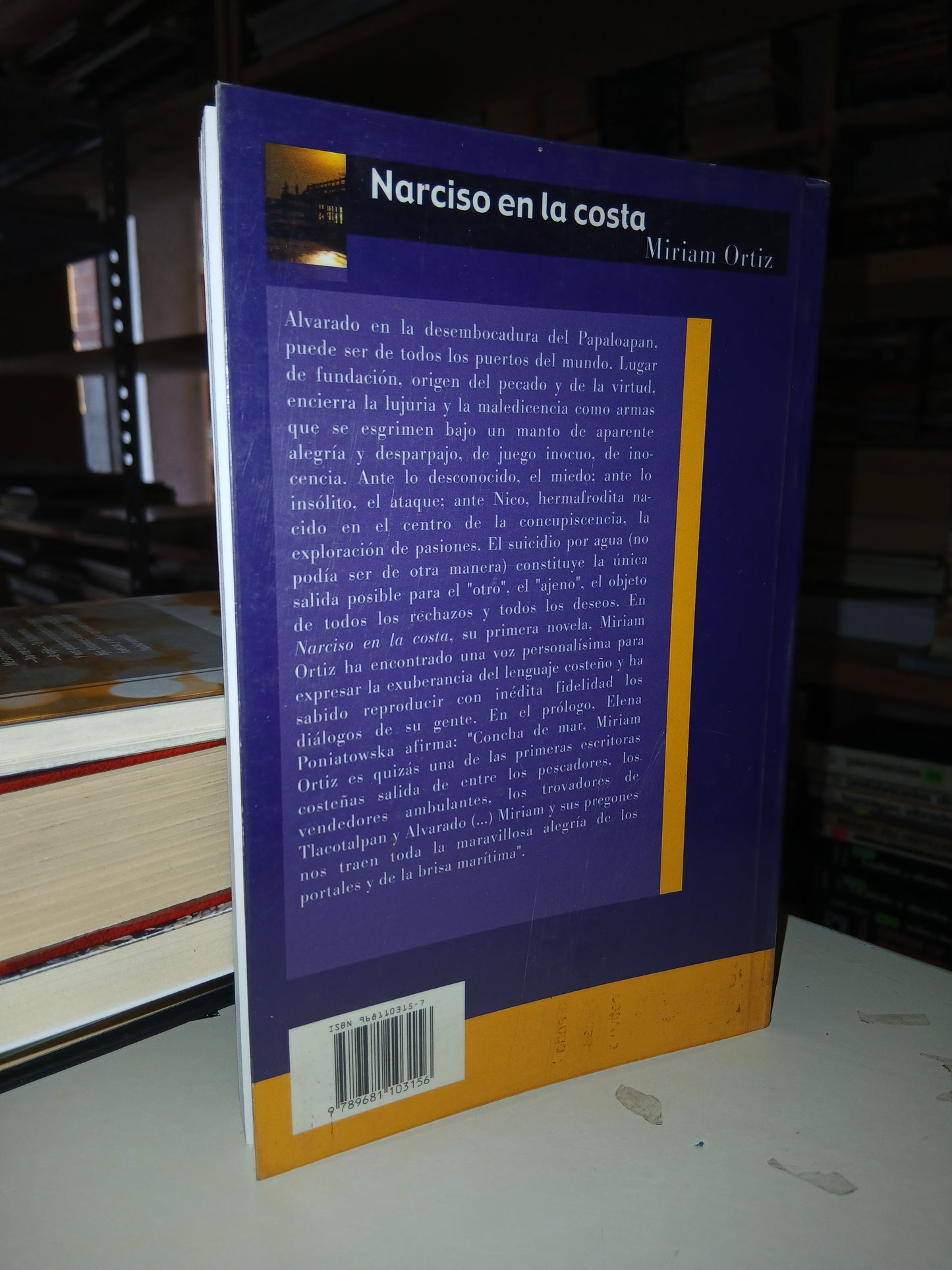 NARCISO EN LA COSTA POR MIRIAM ORTÍZ USADO NOVELA LITERARIO 207